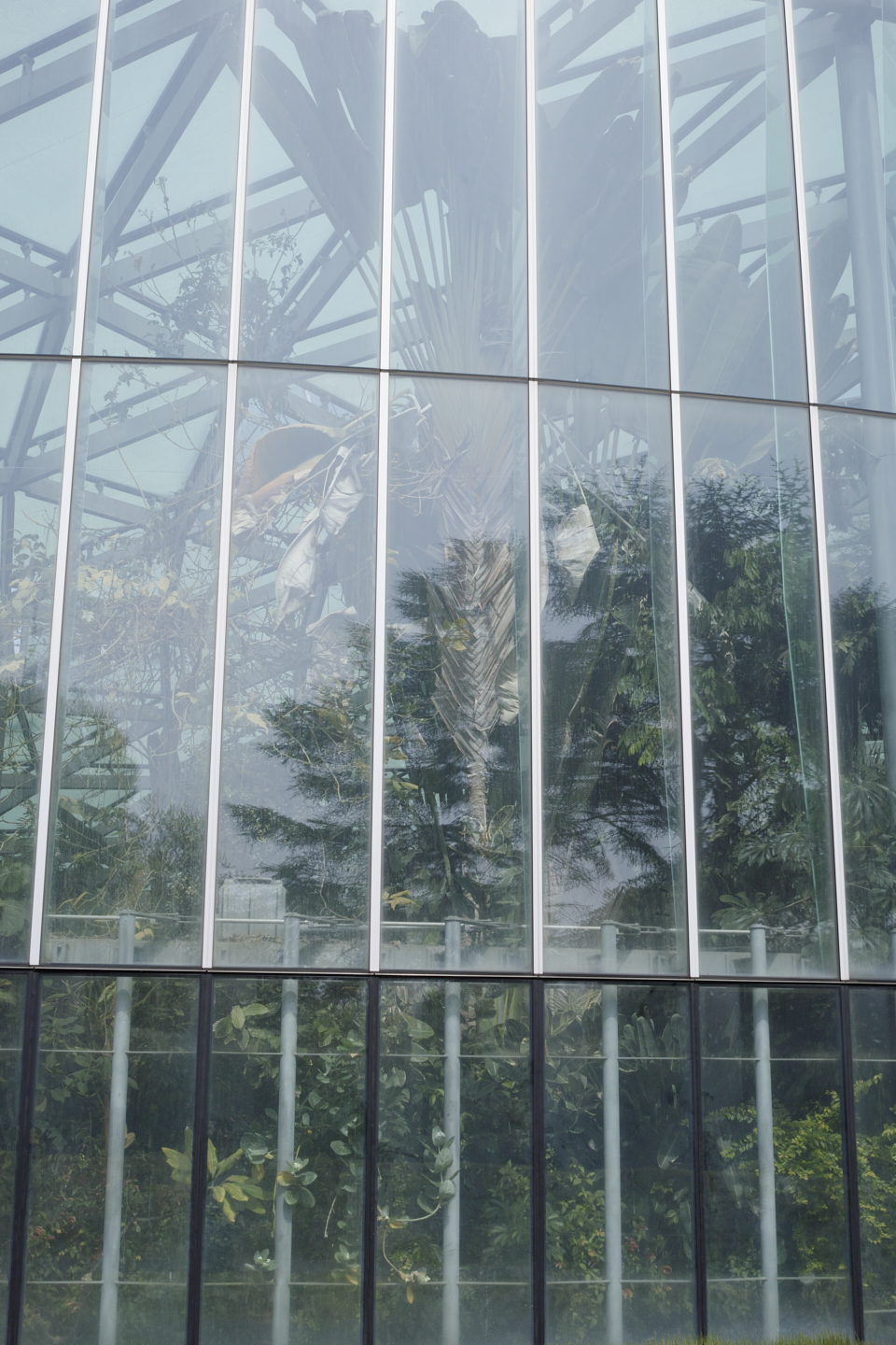 Shinjuku, Ogikubo, Kichijoji_Img