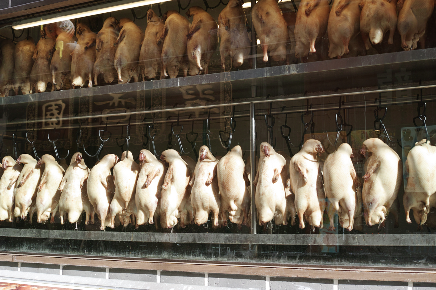 Motomachi-Chukagai, Noge,  Minatomirai_Img