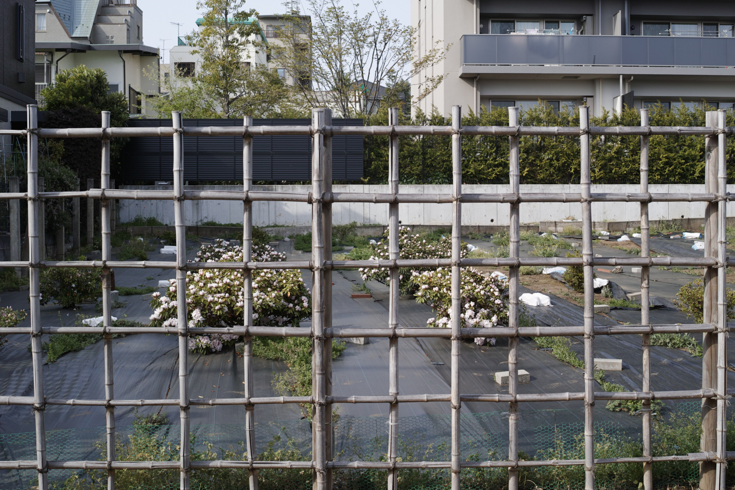 Shinjuku, Ogikubo, Kichijoji_Img