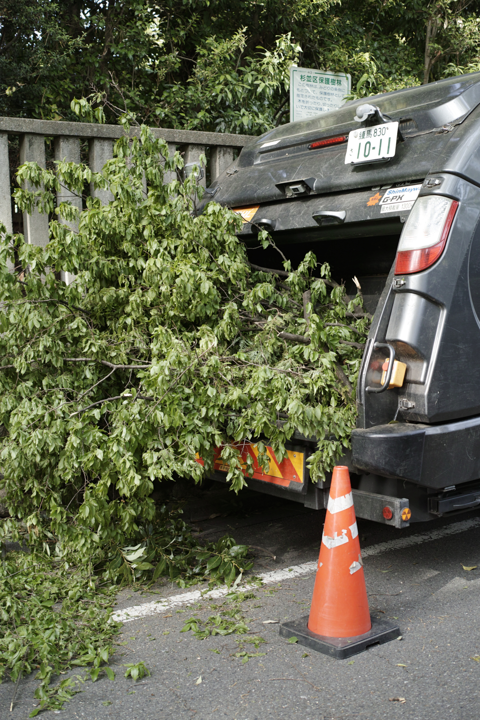 Shinjuku, Ogikubo, Kichijoji_Img