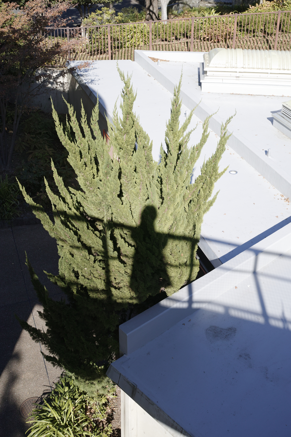 Motomachi-Chukagai, Noge,  Minatomirai_Img