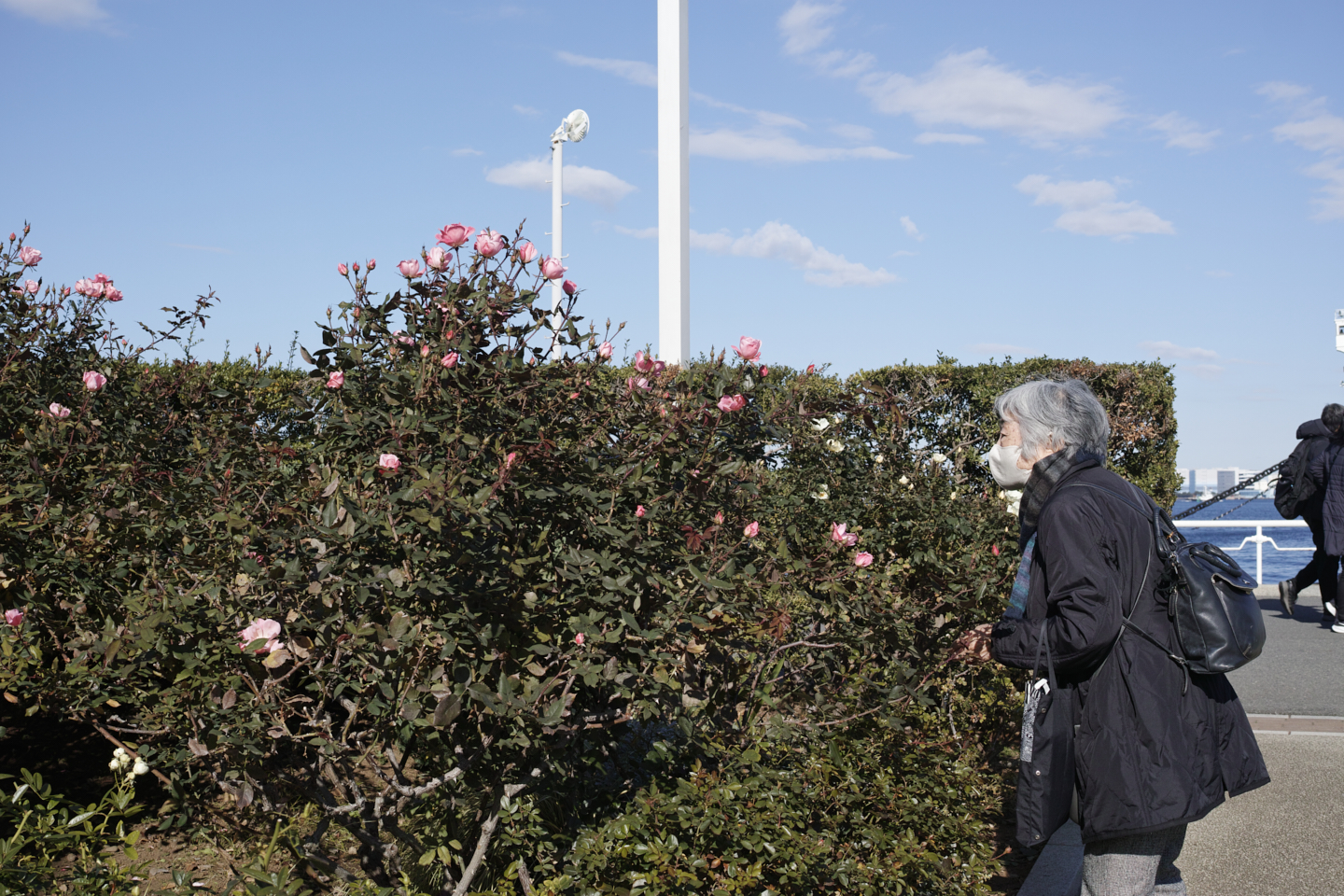 Motomachi-Chukagai, Noge,  Minatomirai_Img