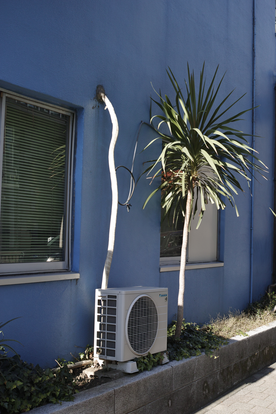 Motomachi-Chukagai, Noge,  Minatomirai_Img