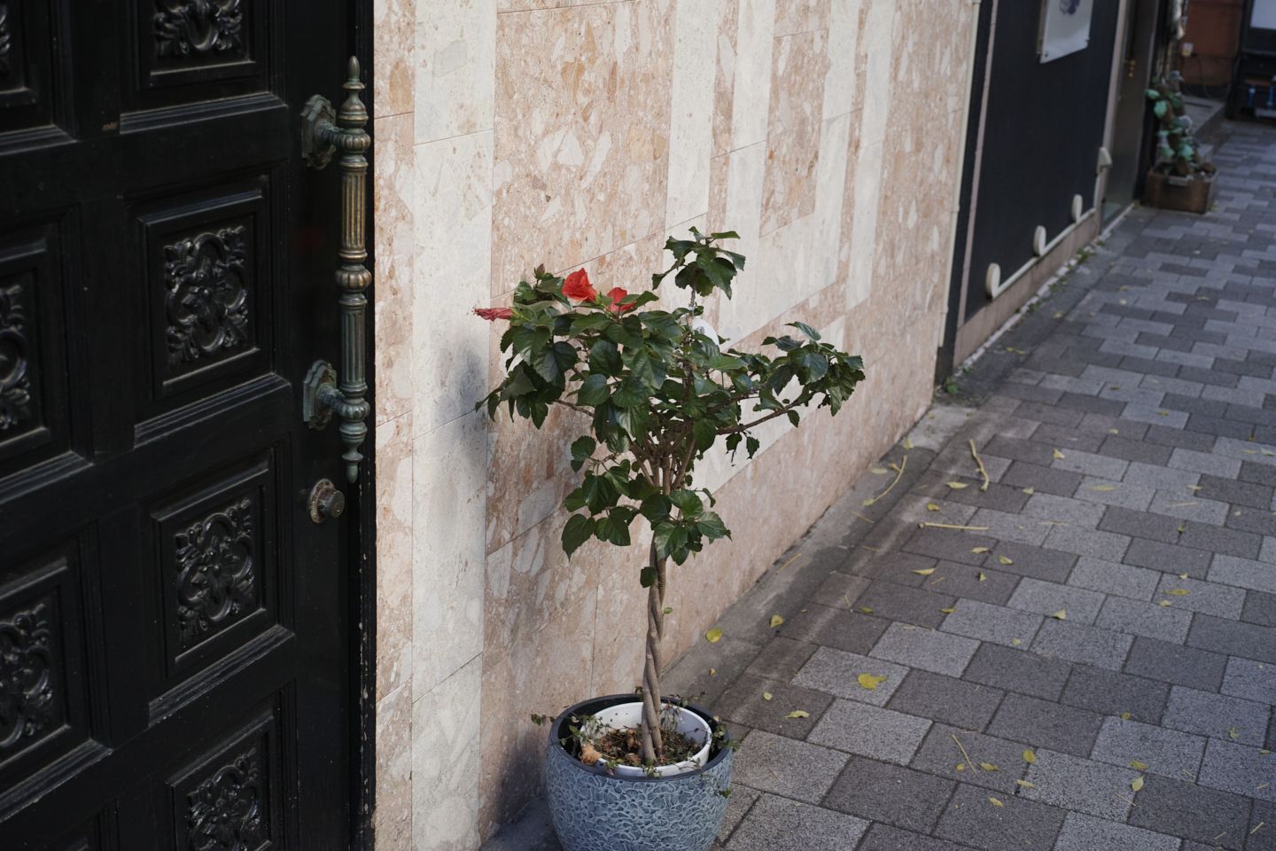 Motomachi-Chukagai, Noge,  Minatomirai_Img