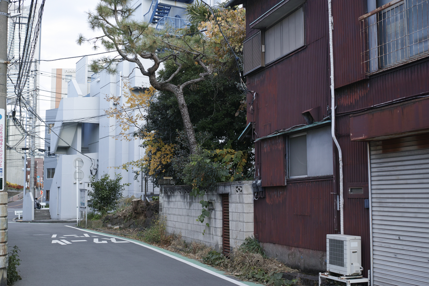 Motomachi-Chukagai, Noge,  Minatomirai_Img