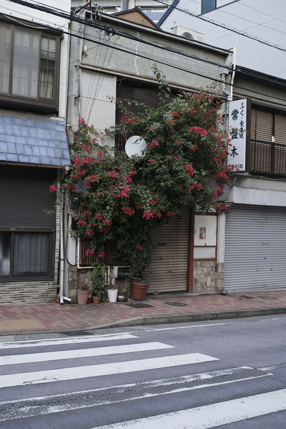 Motomachi-Chukagai, Noge,  Minatomirai_Img
