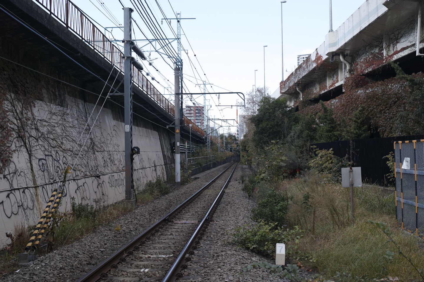 Motomachi-Chukagai, Noge,  Minatomirai_Img