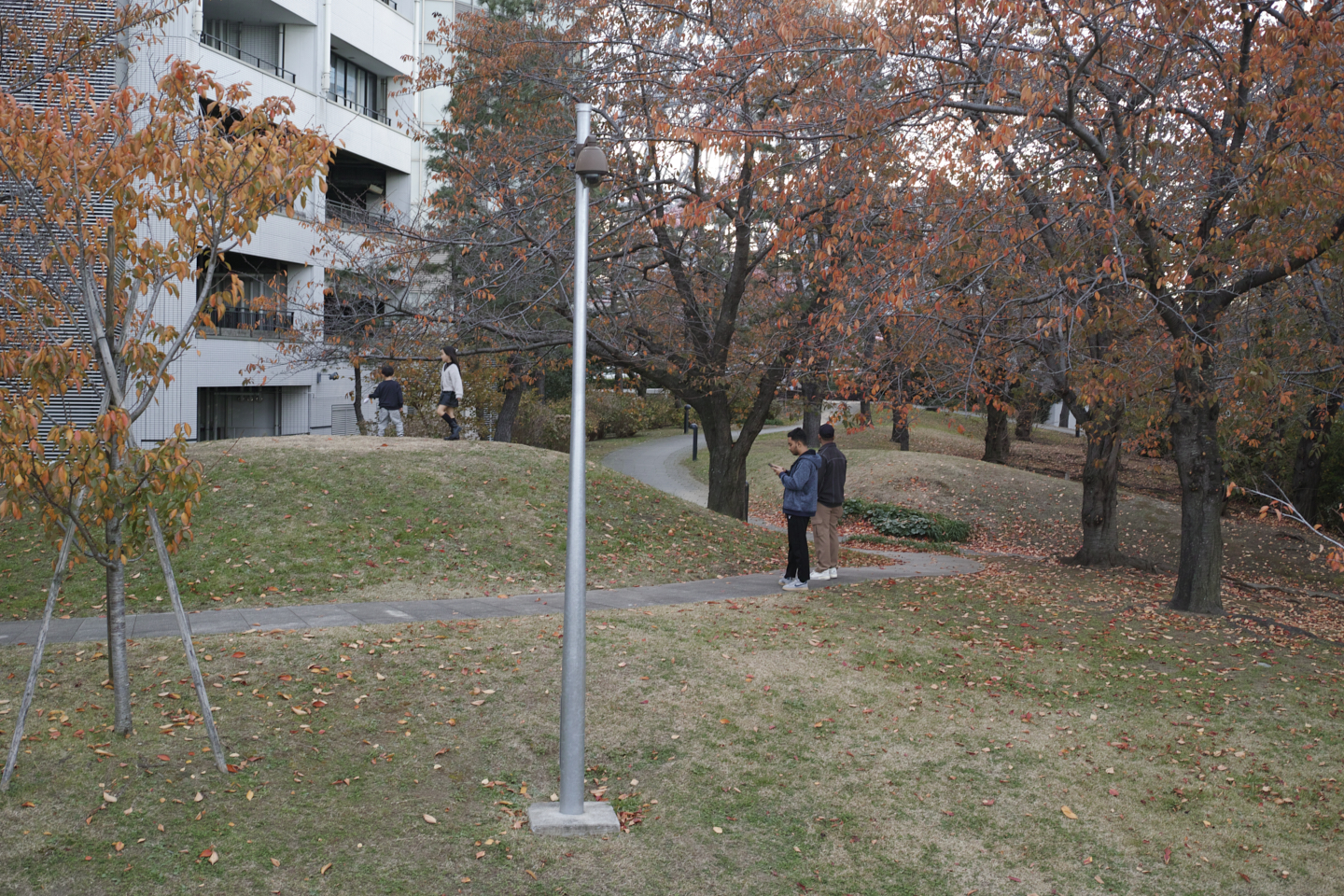 Motomachi-Chukagai, Noge,  Minatomirai_Img