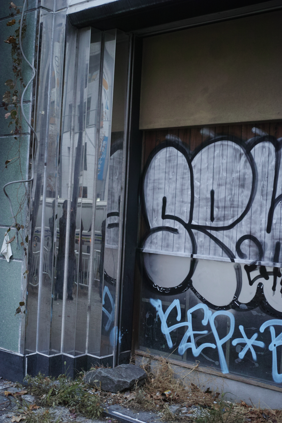 Motomachi-Chukagai, Noge,  Minatomirai_Img