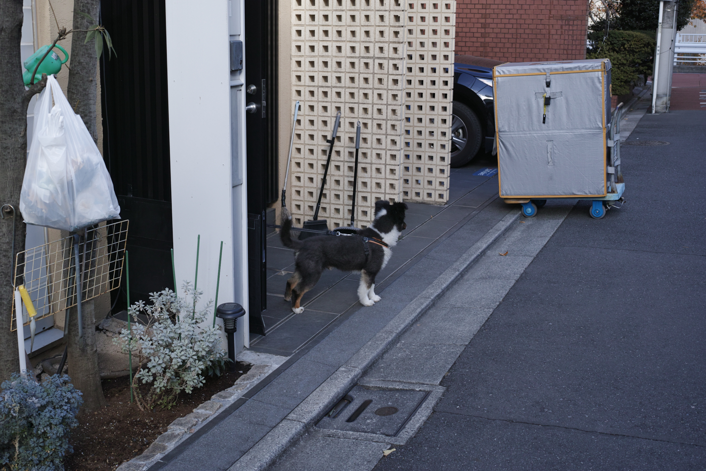 Jimbocho, Nezu, Osaki, Meguro_Img