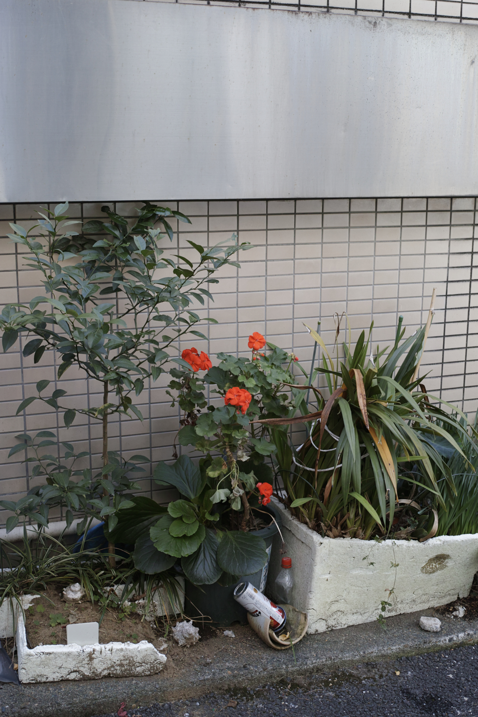 Jimbocho, Nezu, Osaki, Meguro_Img