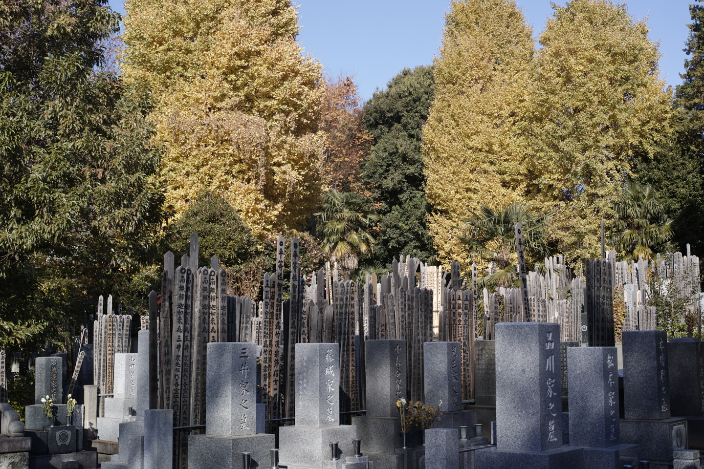 Jimbocho, Nezu, Osaki, Meguro_Img