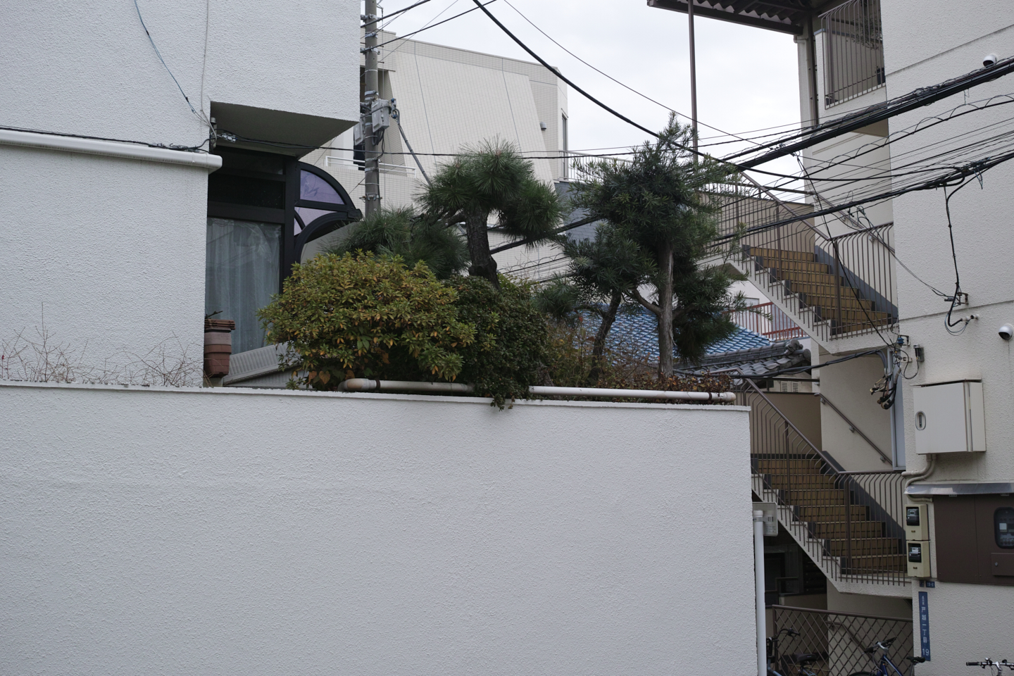 Jimbocho, Nezu, Osaki, Meguro_Img