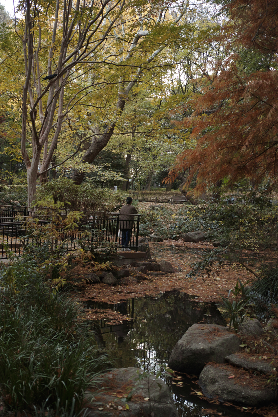 Jimbocho, Nezu, Osaki, Meguro_Img