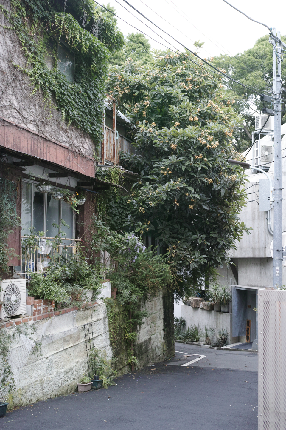 Hiroo, Azabu_Img