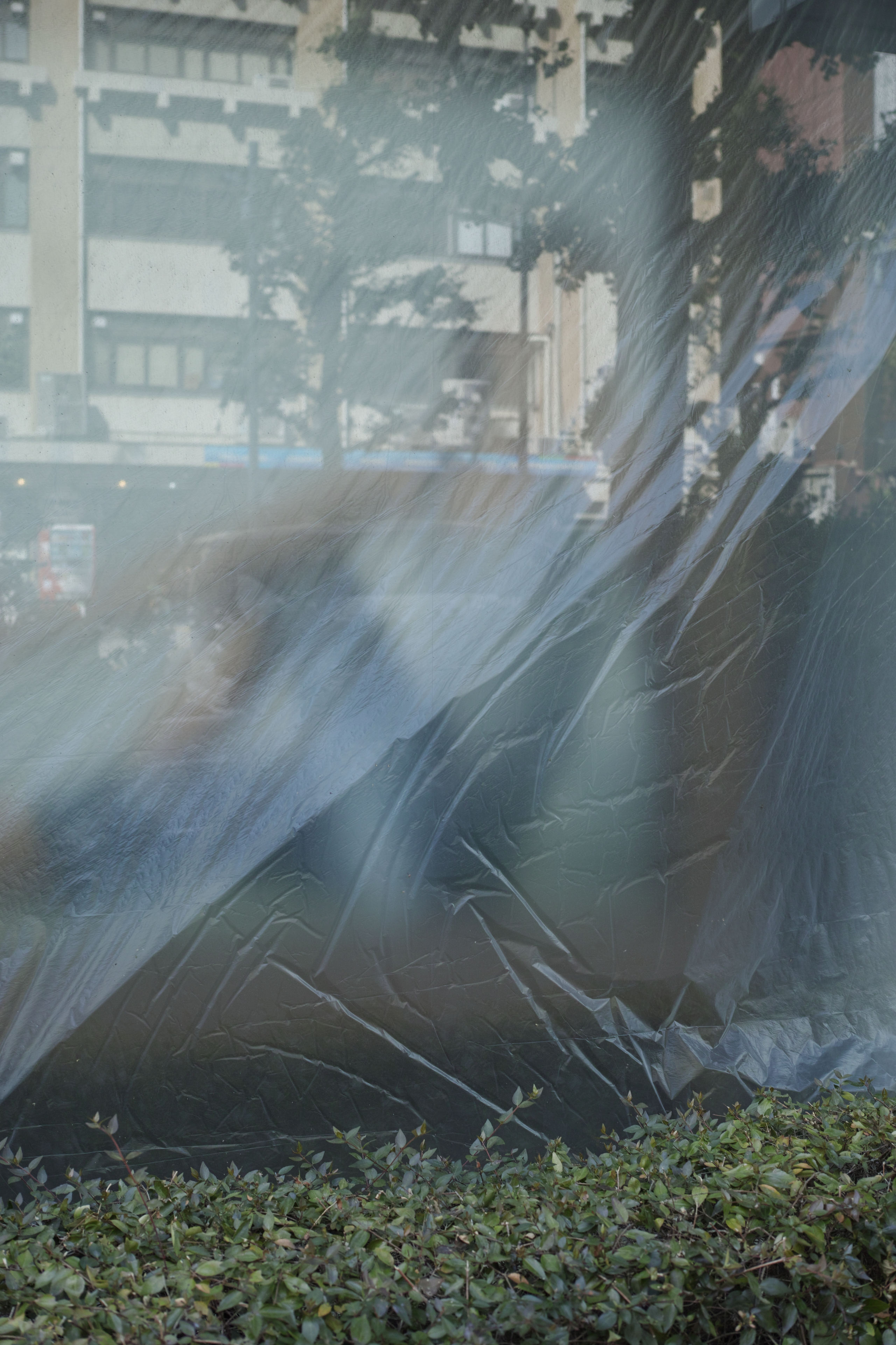 Okubo, Yoyogi, Shibuya_Img