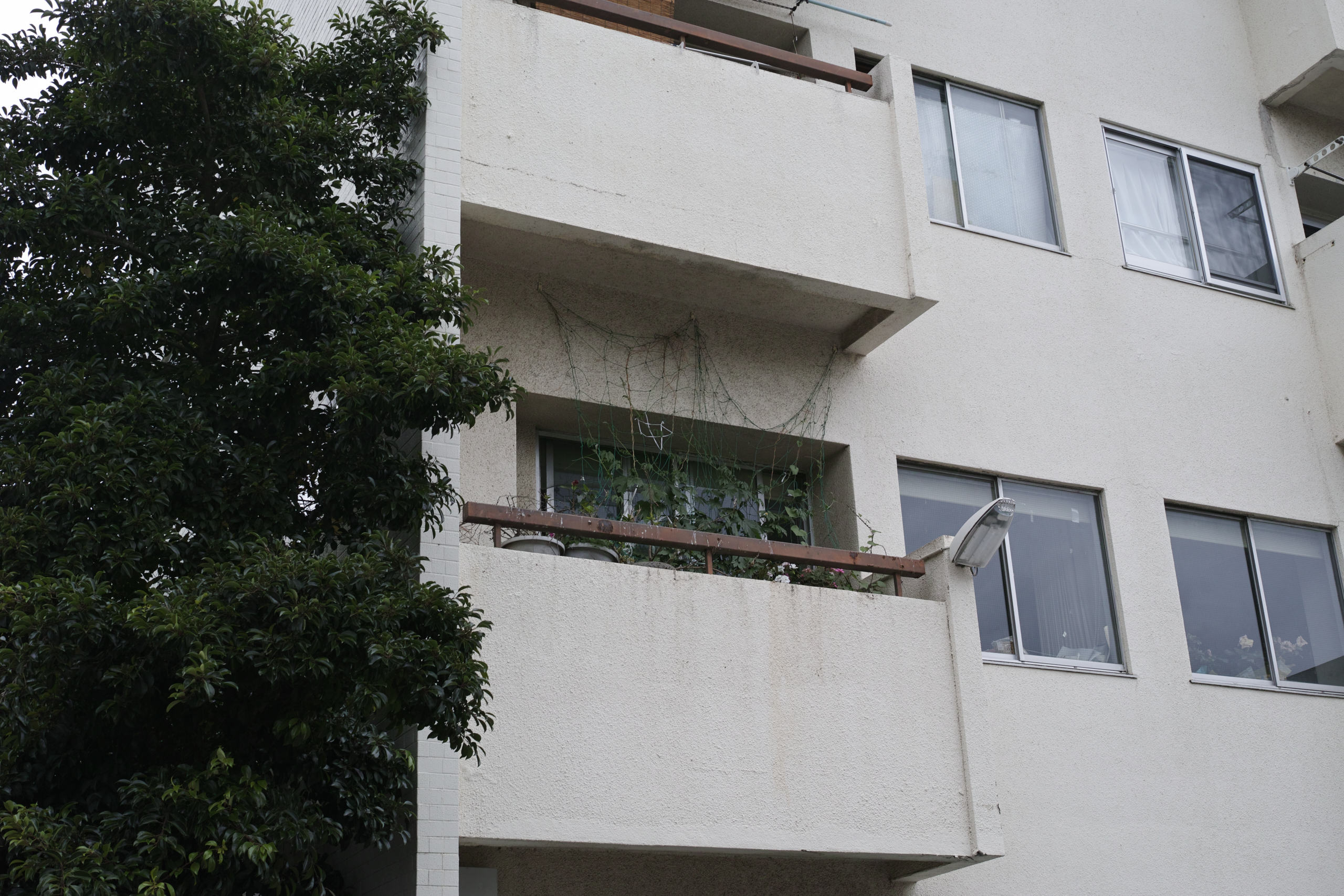 Gakugei-Daigaku, Yutenji_Img