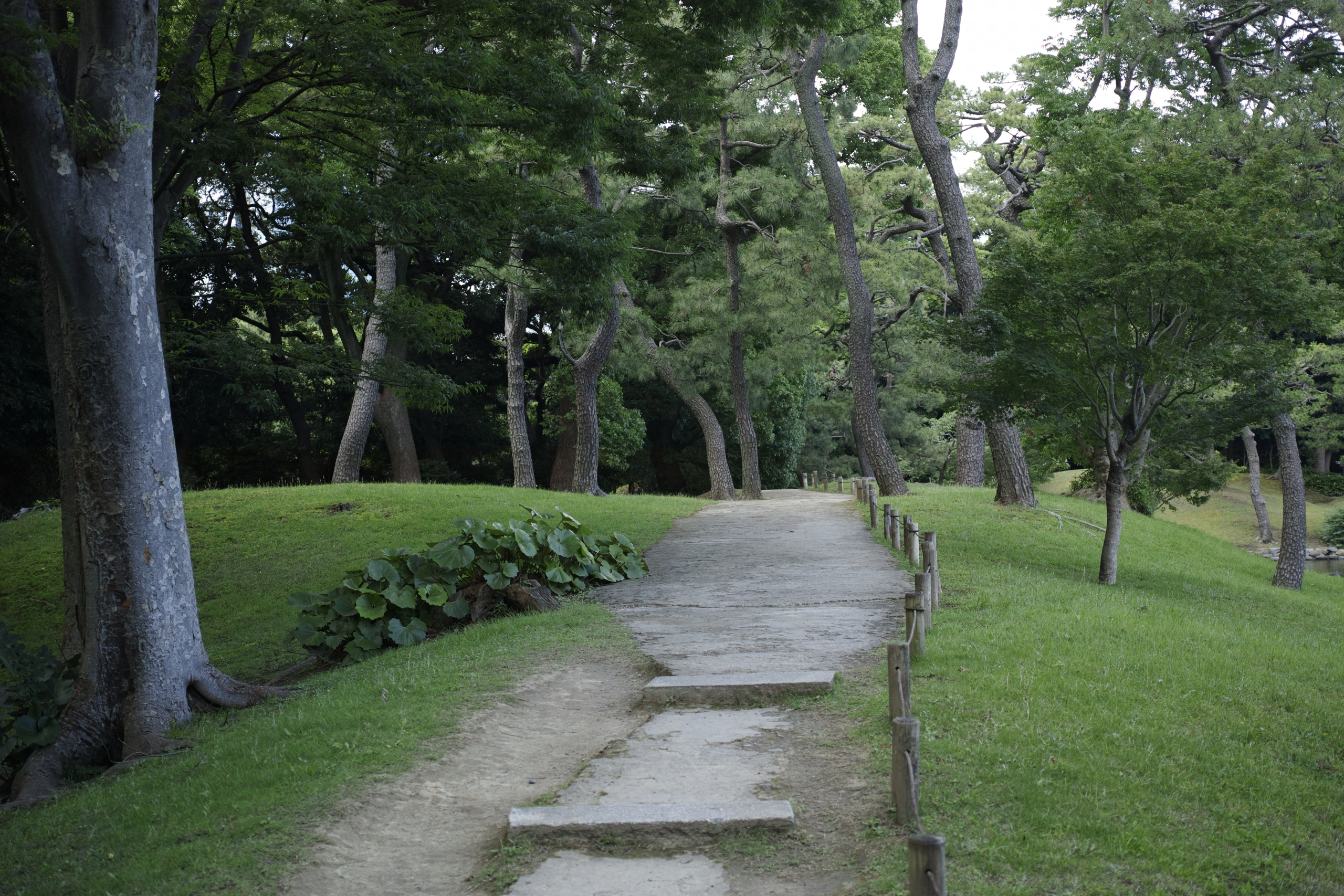 Akasaka, Shiodome, Hibiya, Sendagaya_Img