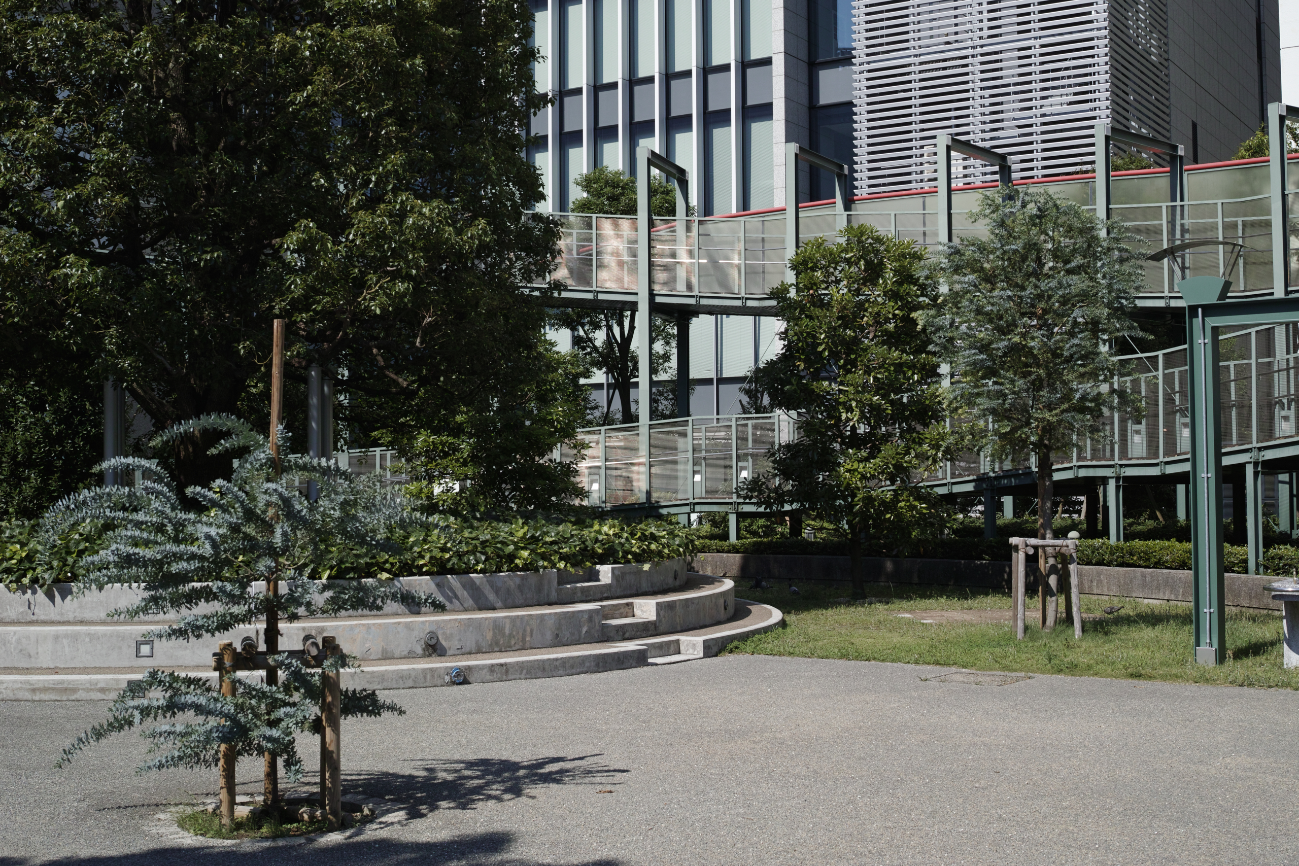 Omote-Sando, Shinjuku_Img