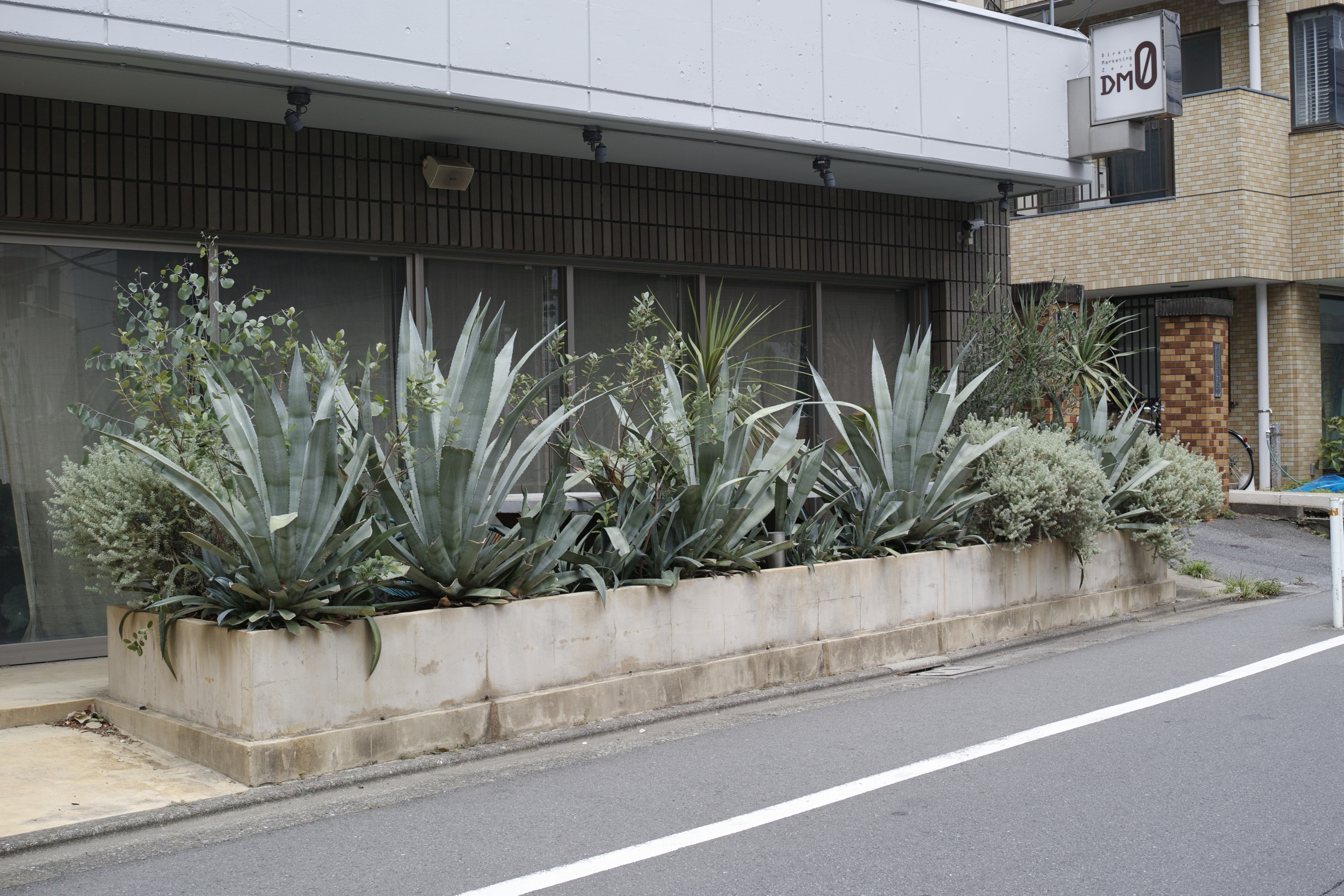 Yoyogi-Uehara, Nihombashi, Kanda_Img