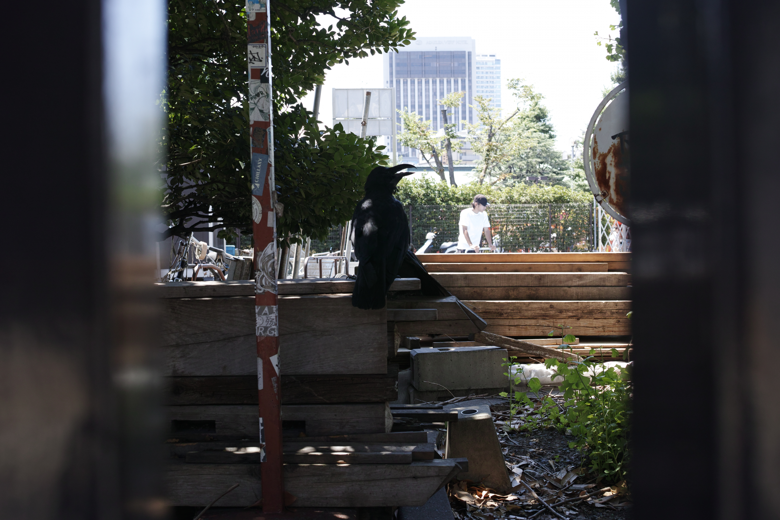 Asakusa, Shinanomachi_Img