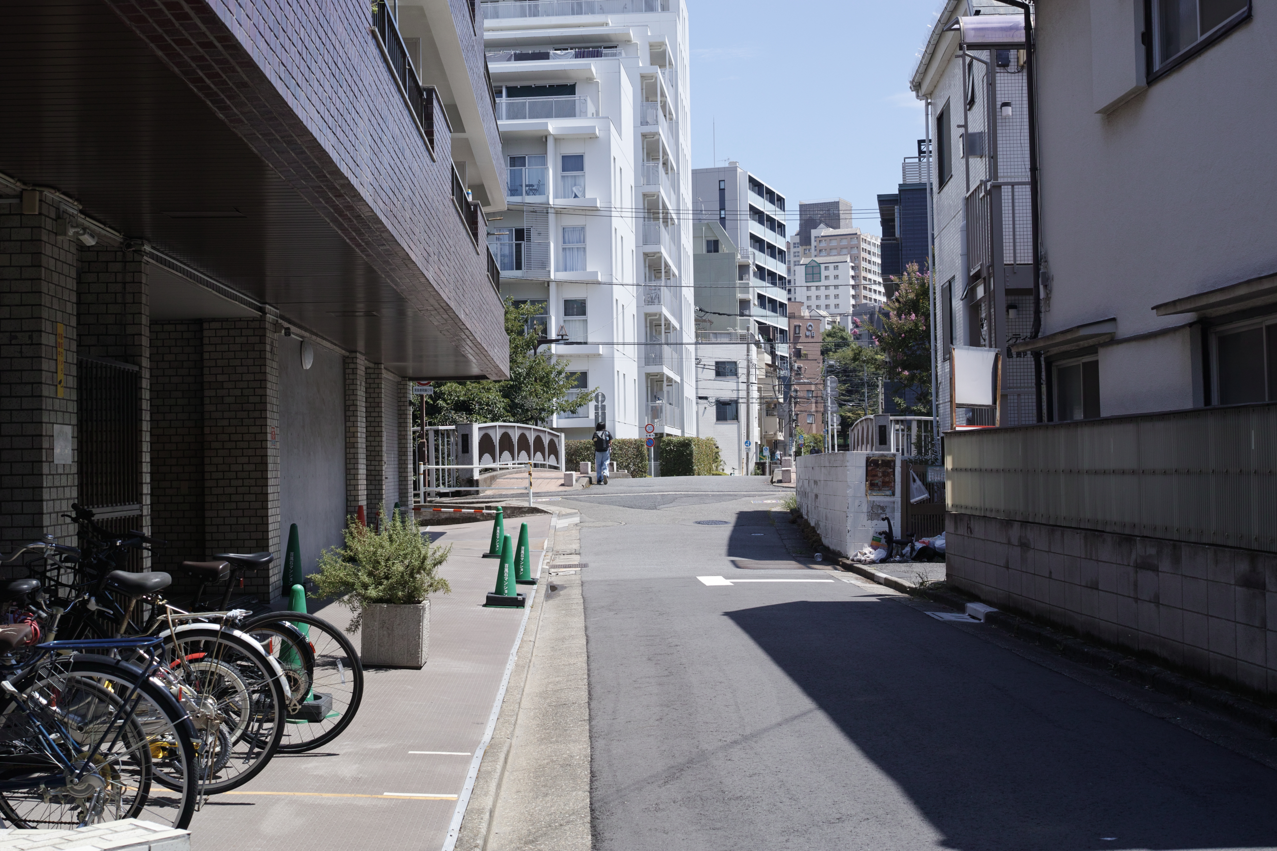 Nakano, Yoyogi, Shibuya_Img