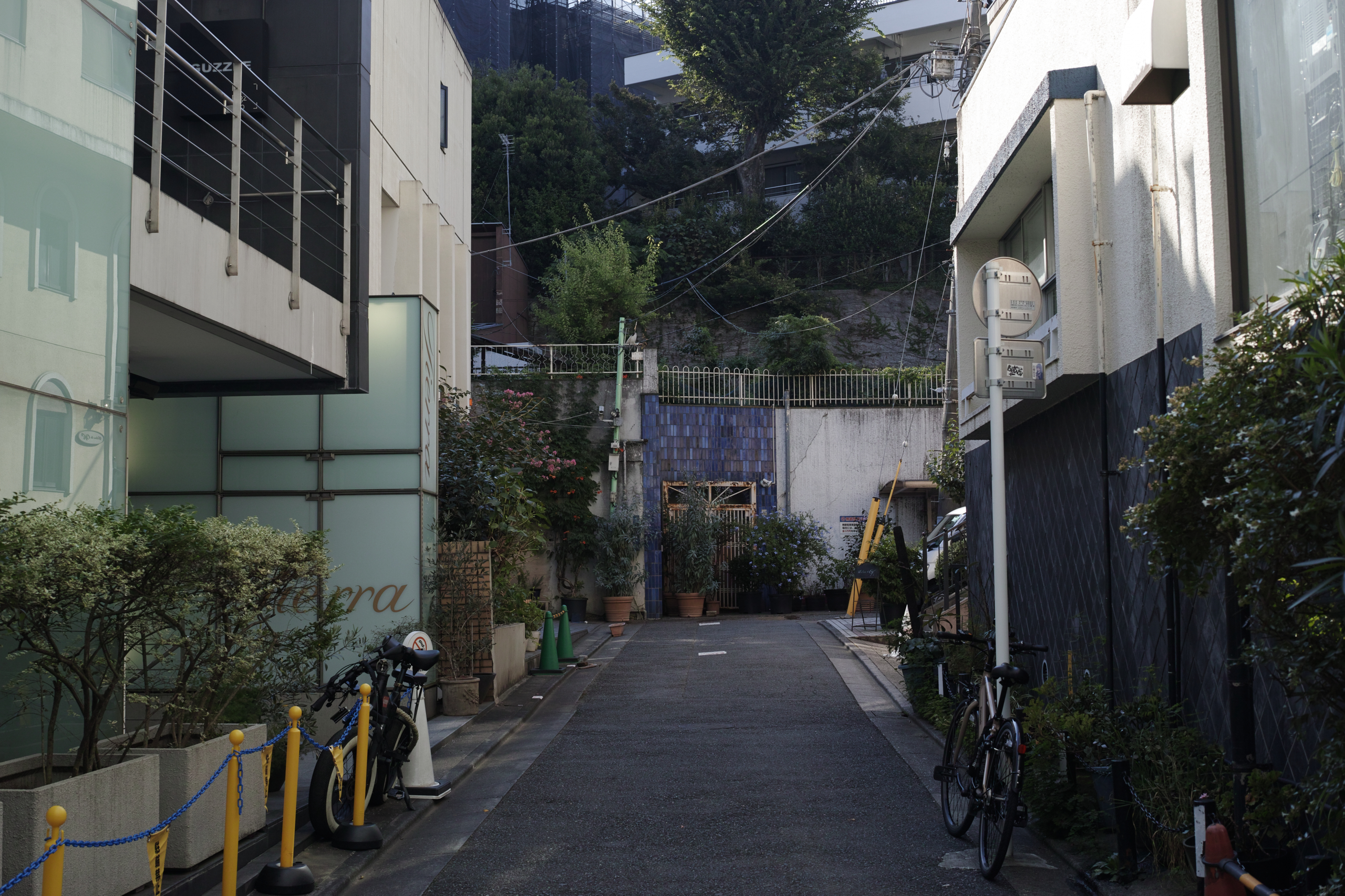 Ebisu, Shibuya, Shinjuku_Img