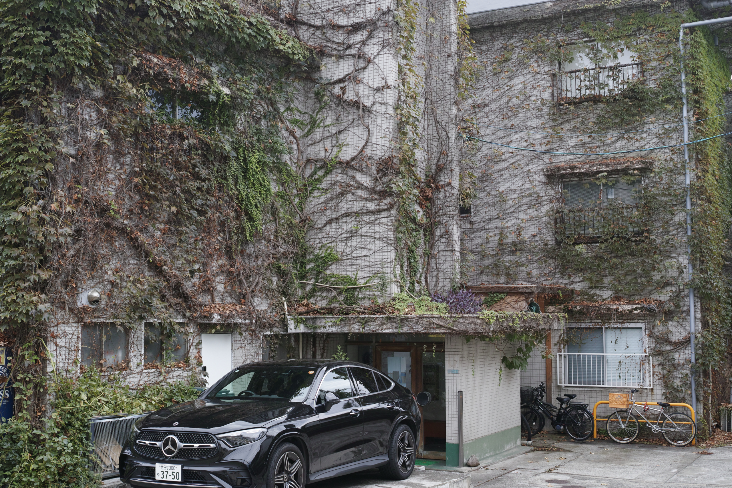 Kichijoji, Merguro, Shinbashi, Roppongi etc_Img