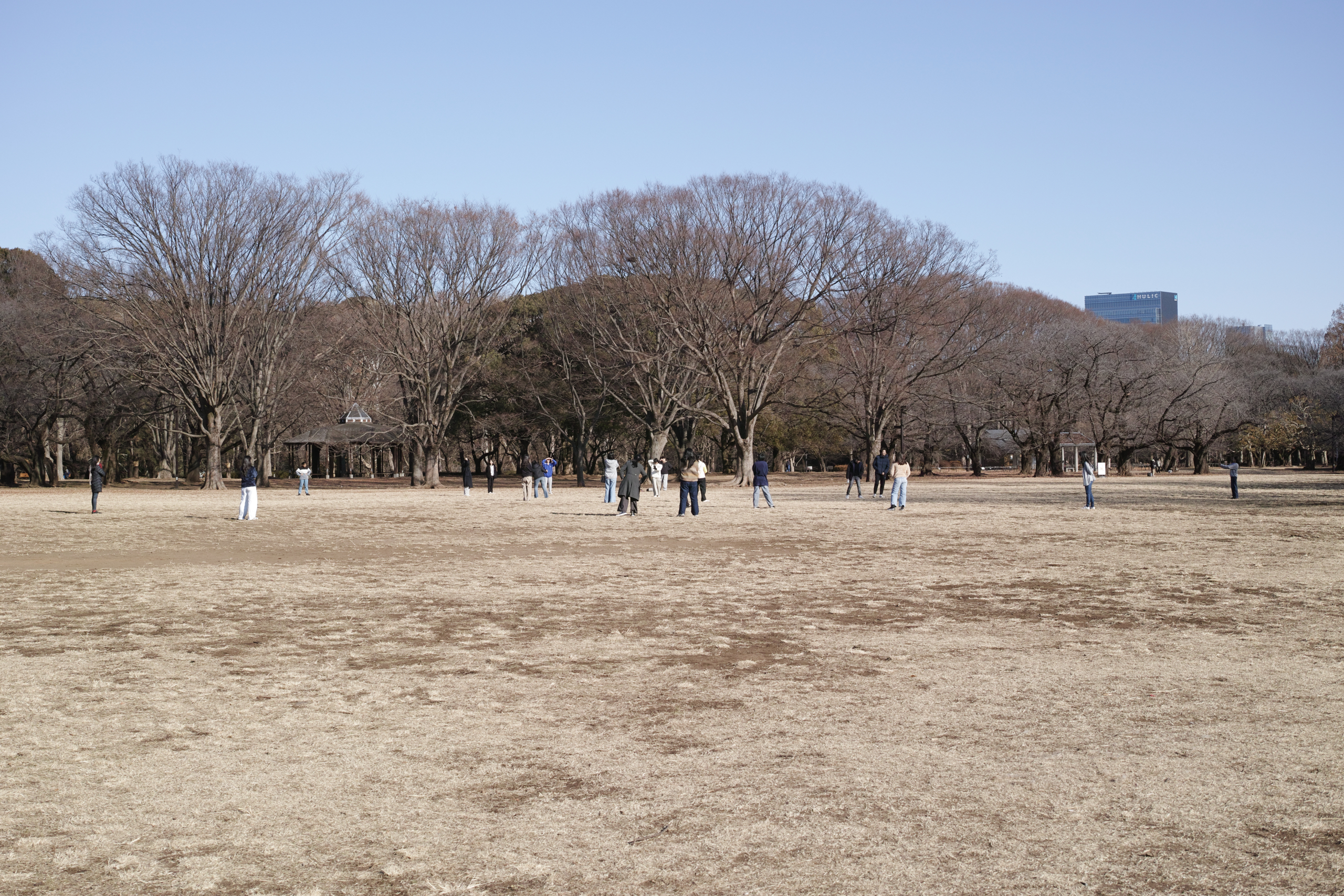 Yoyogi_Img