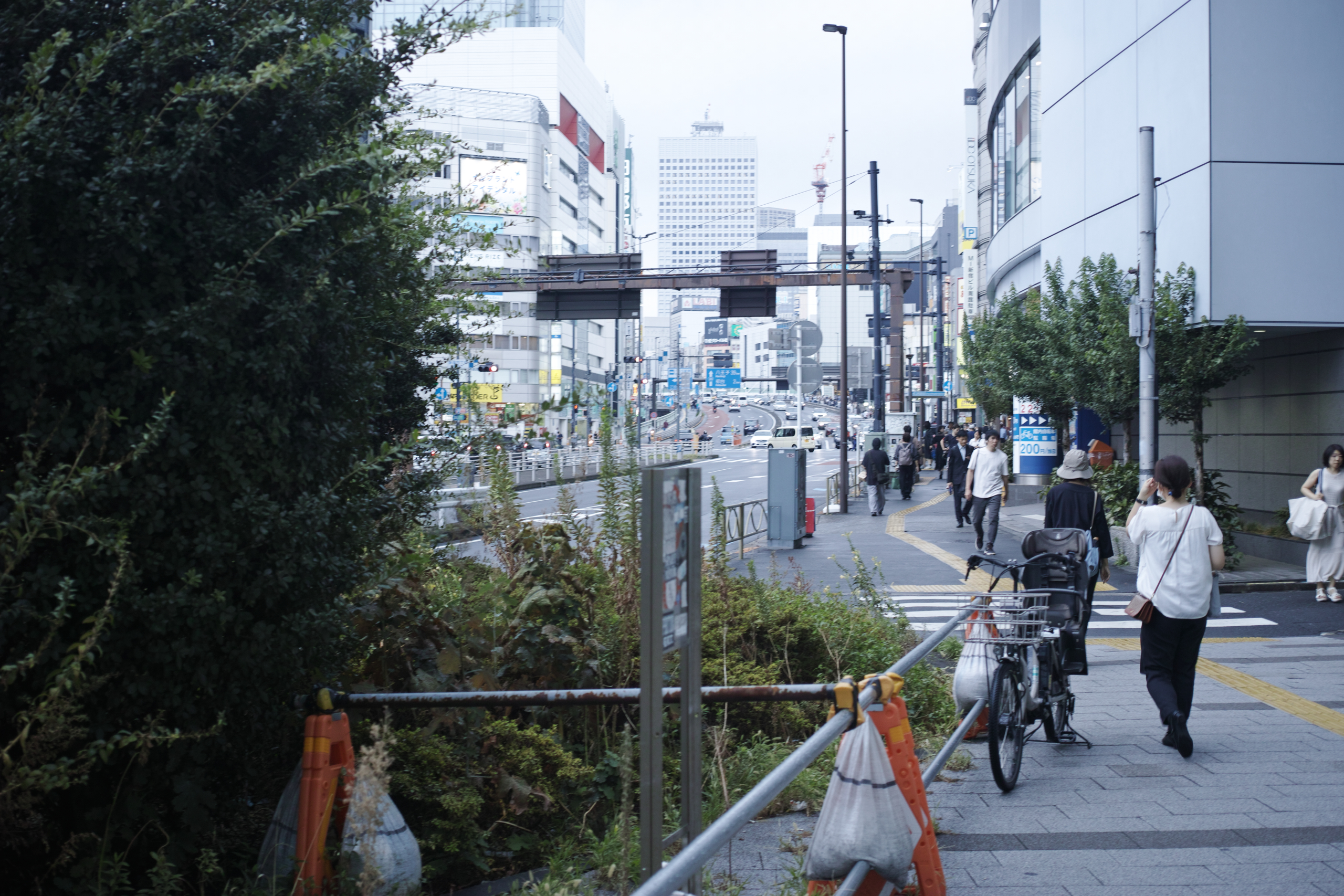 Shinjuku, Shibuya_Img
