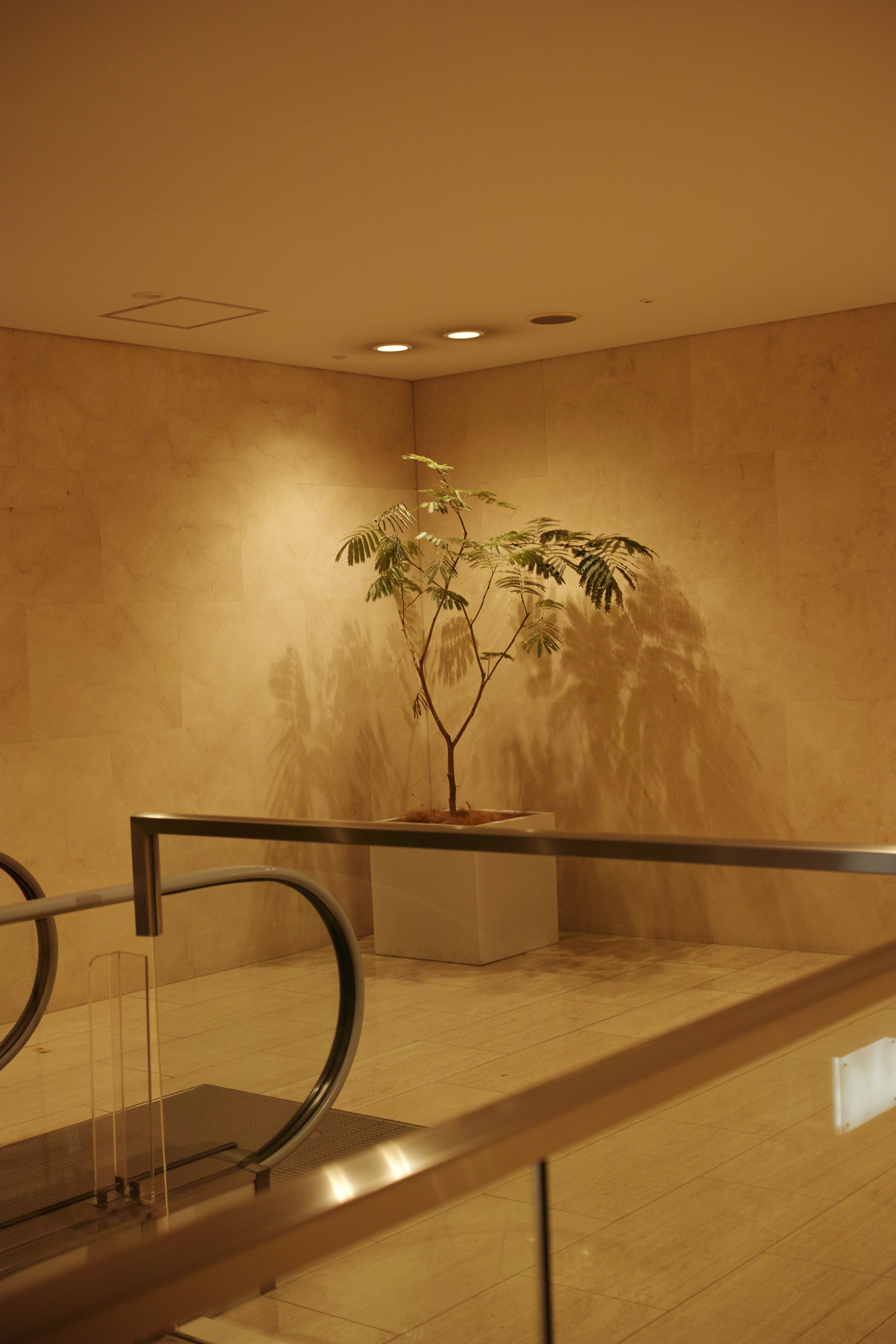 Hatsudai, Shinjuku_Img