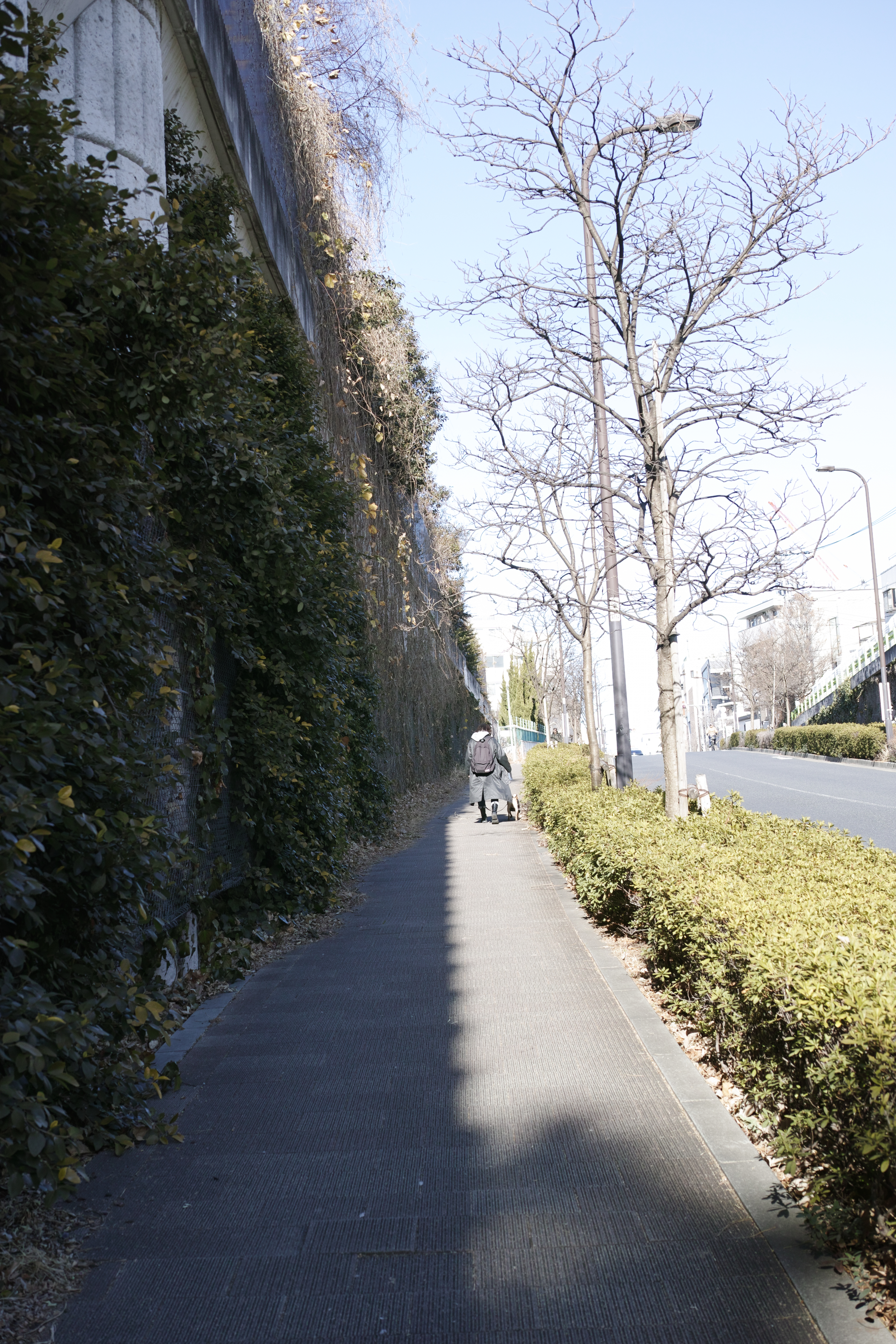 Ebisu, Daikanyama_Img