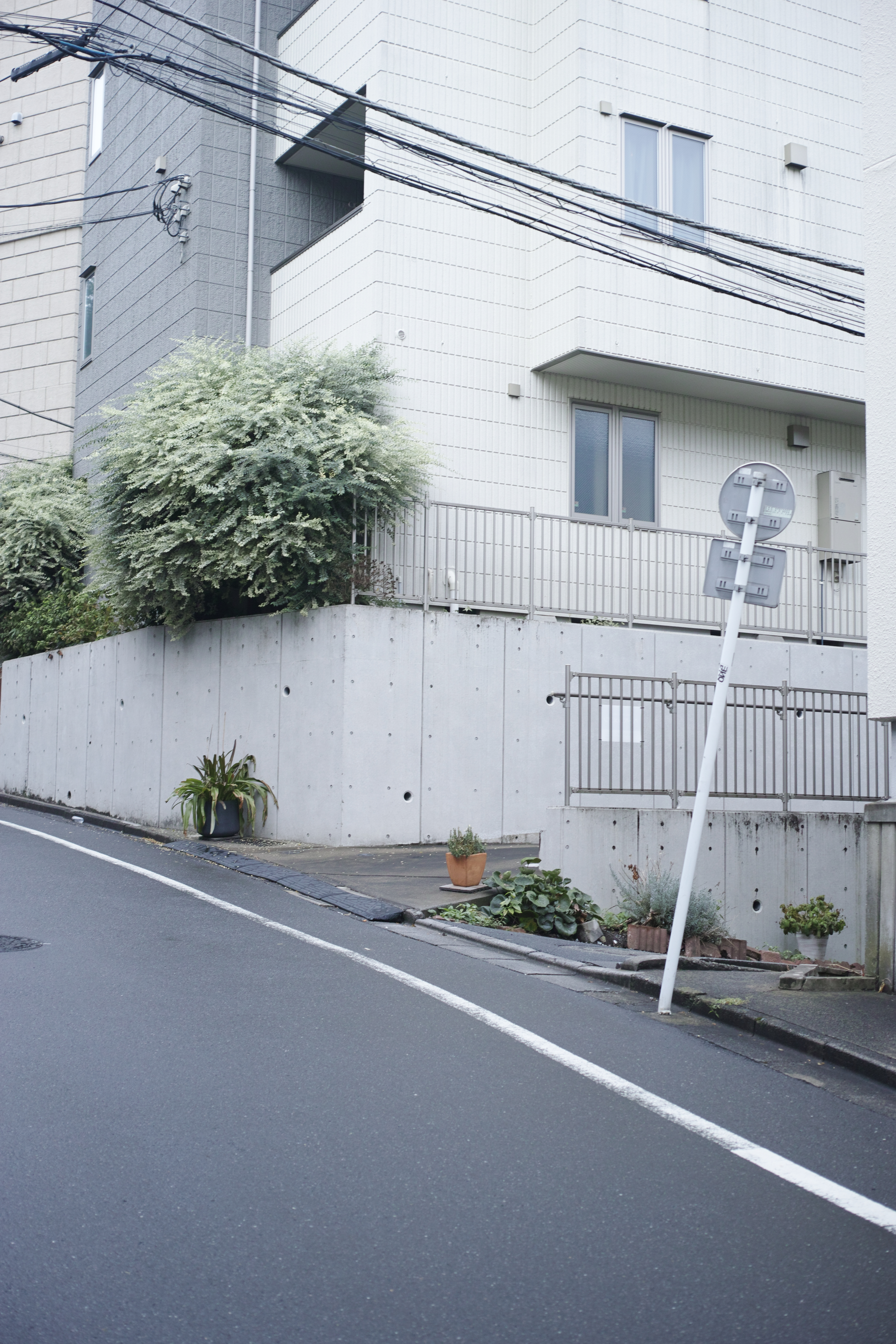 Shinjuku, Shibuya_Img