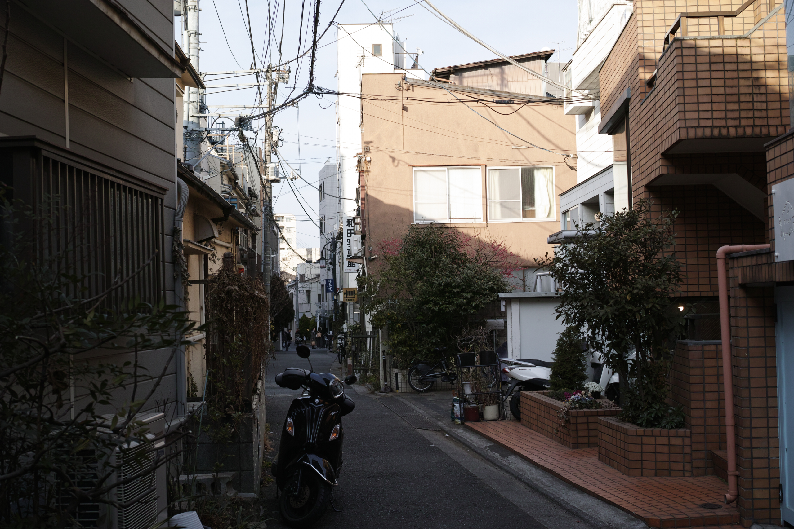 Yoyogi-Uehara, Higashi-Shinjuku, Kagurazaka_Img