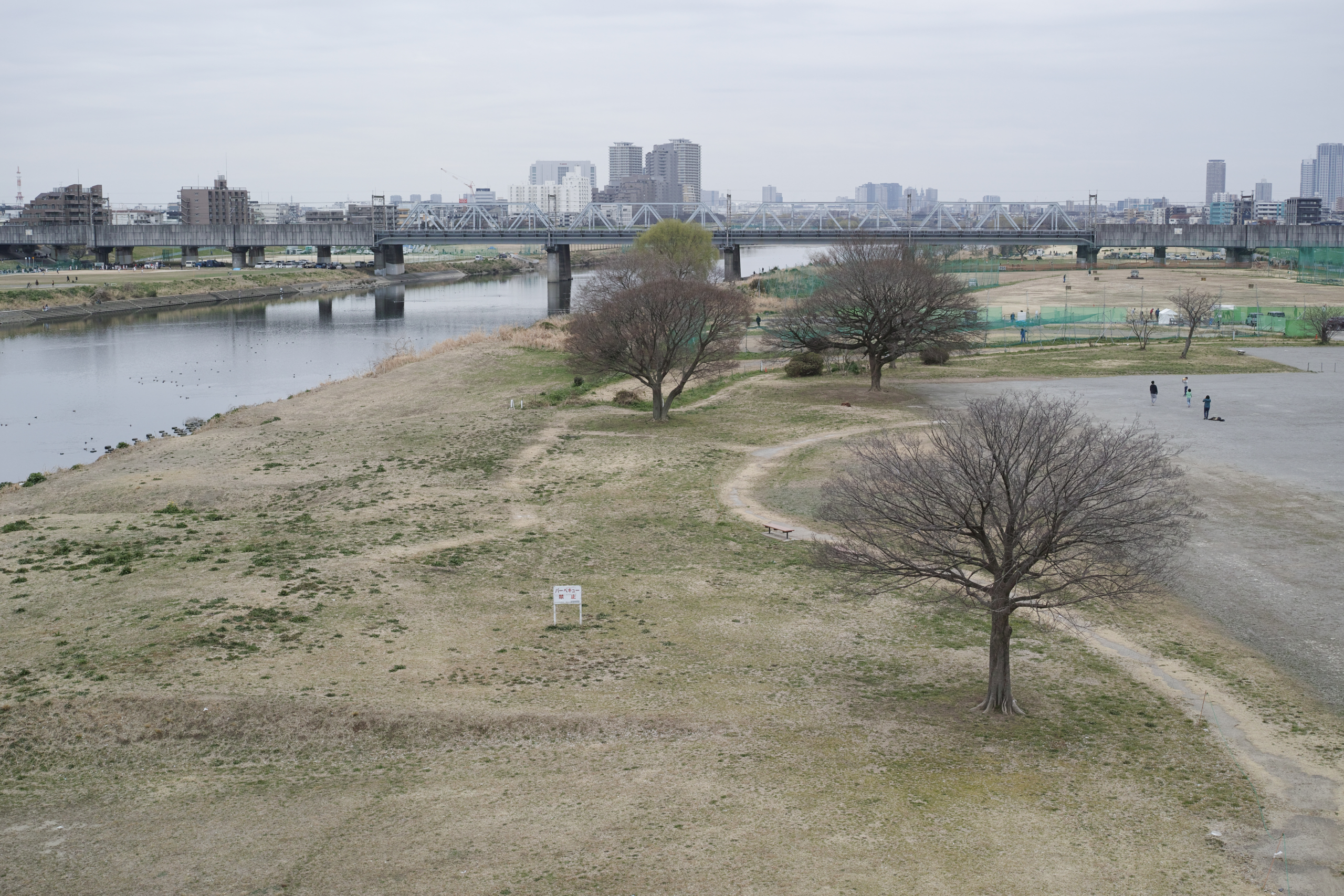 Musashi-Kosugi, DenenChofu, Jiyugaoka_Img