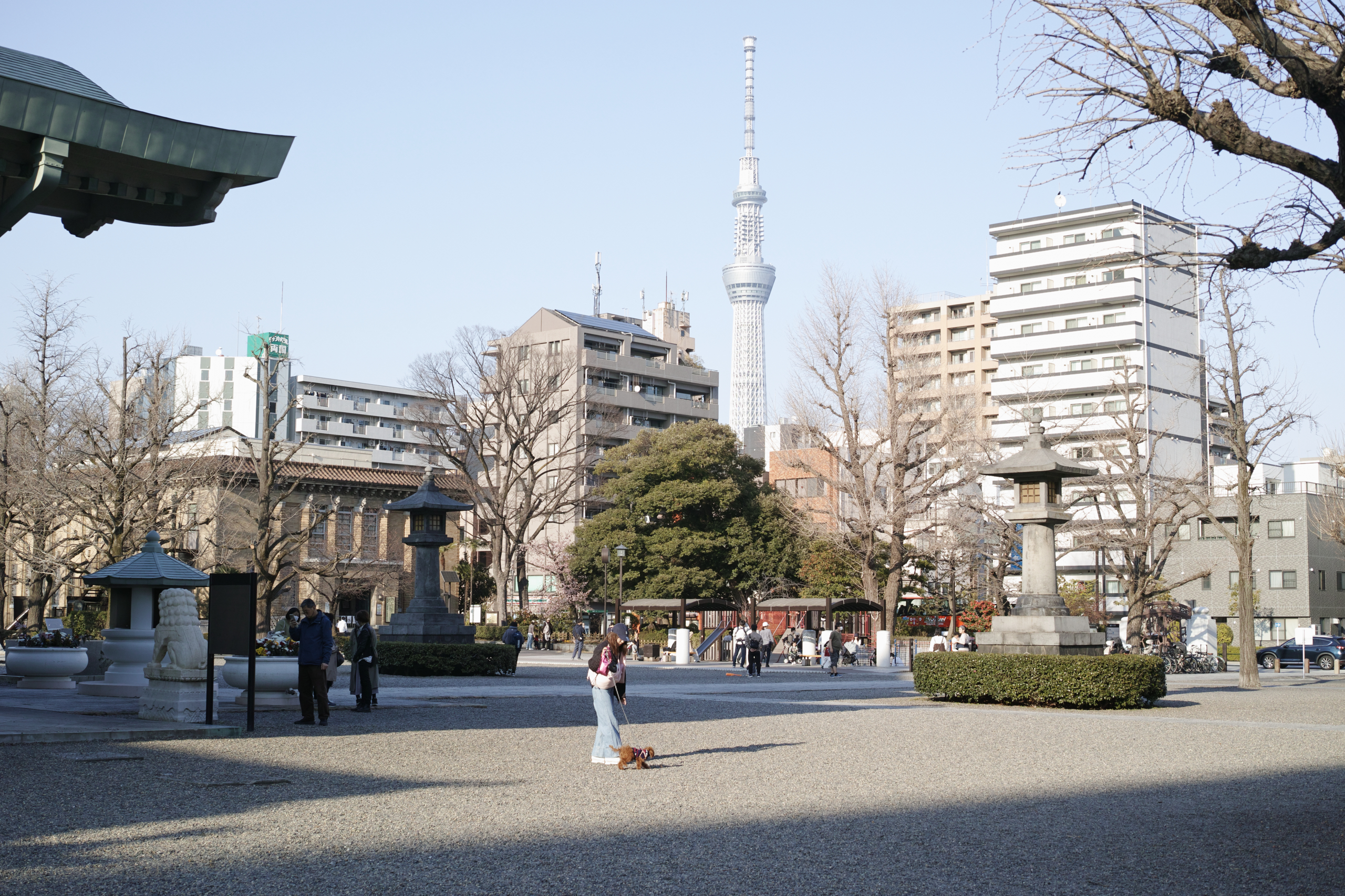 Shakujiimachi, Jimbocho, Ryogoku_Img