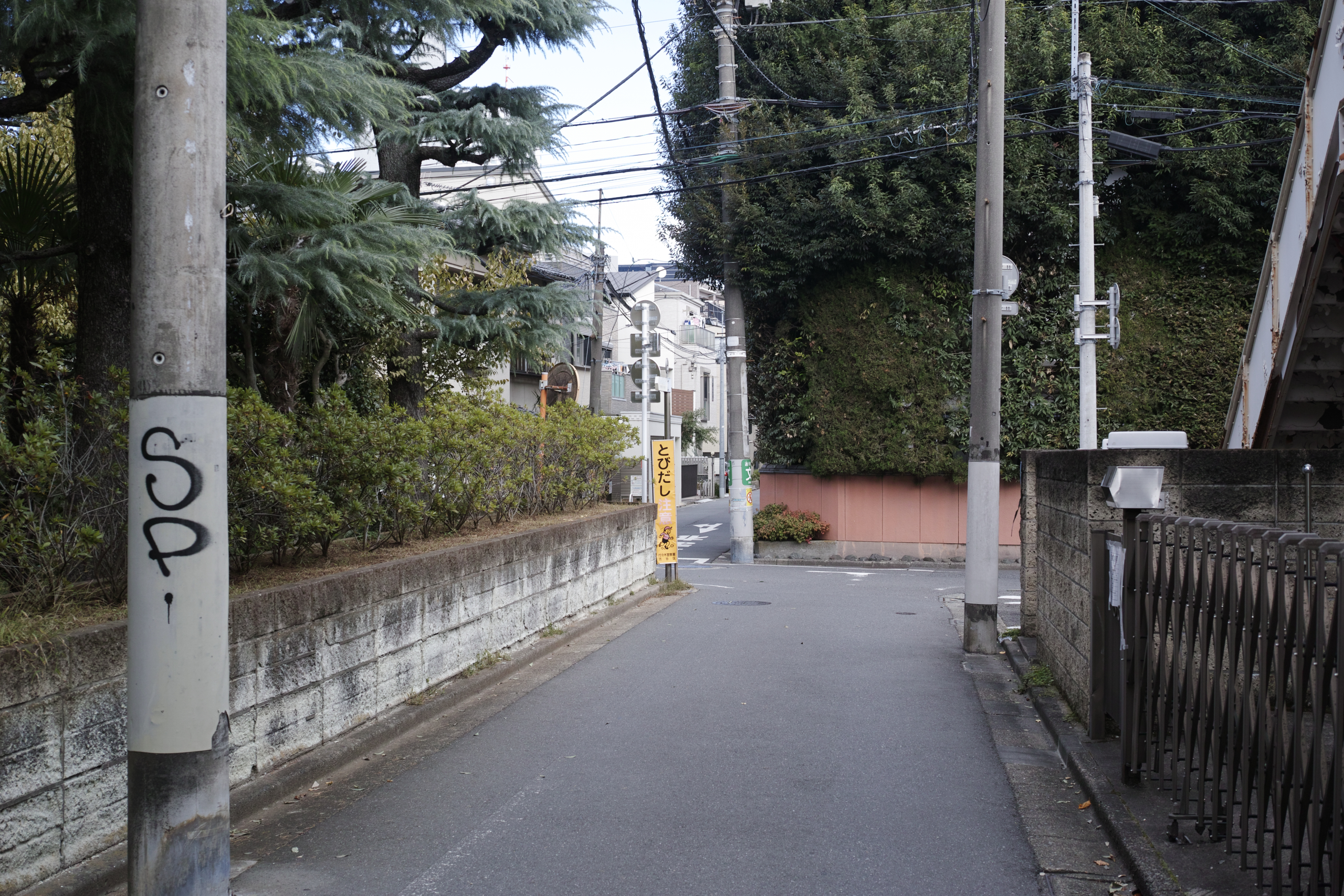 Minami-Shinjuku, Shibuya_Img