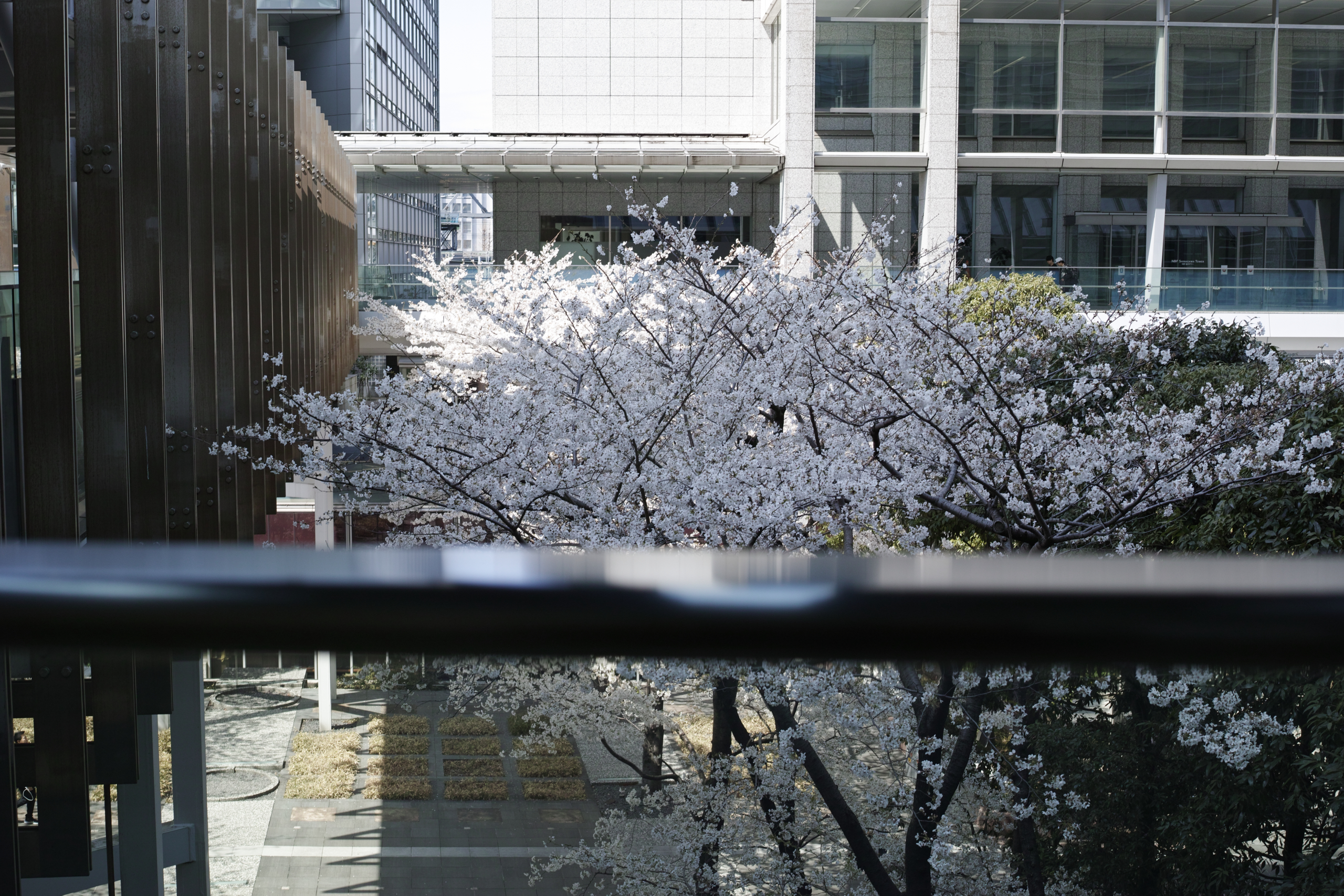 Shinagawa, Ikegami, Togoshi-Ginza_Img