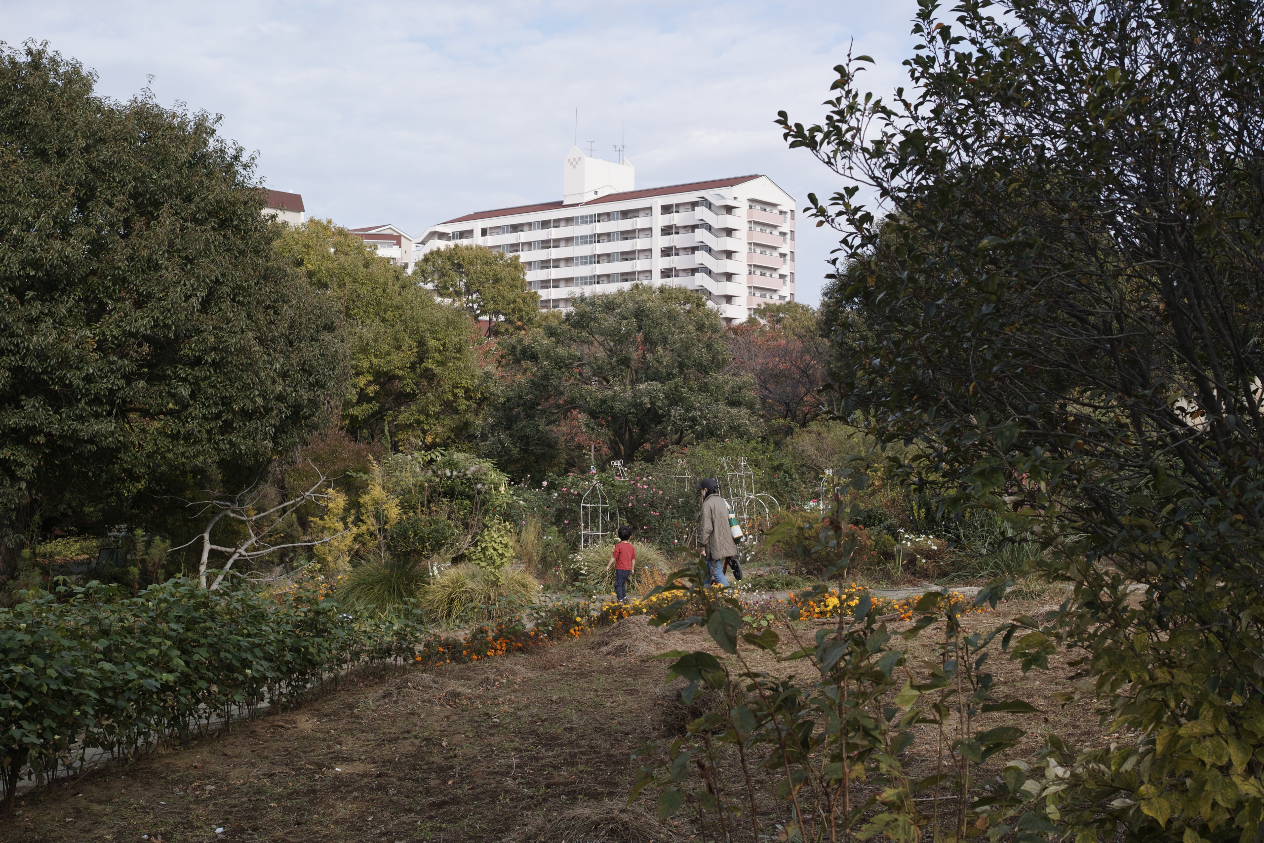 Kameido, Hirai, Ginza_Img