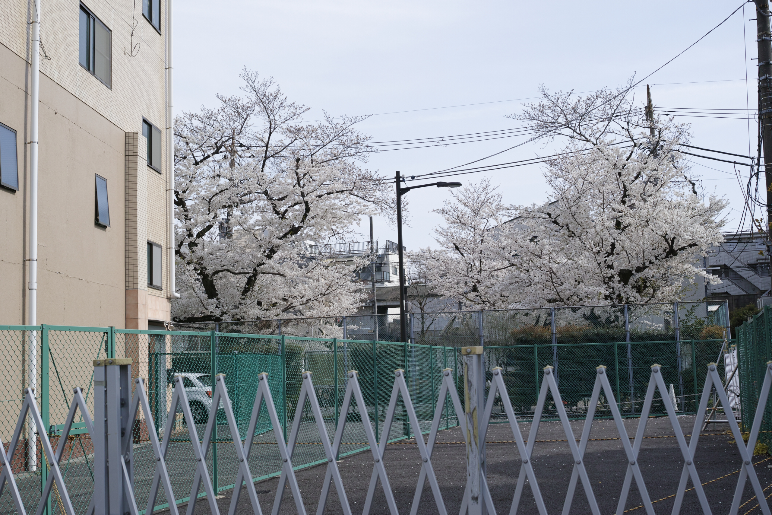 Shinagawa, Ikegami, Togoshi-Ginza_Img