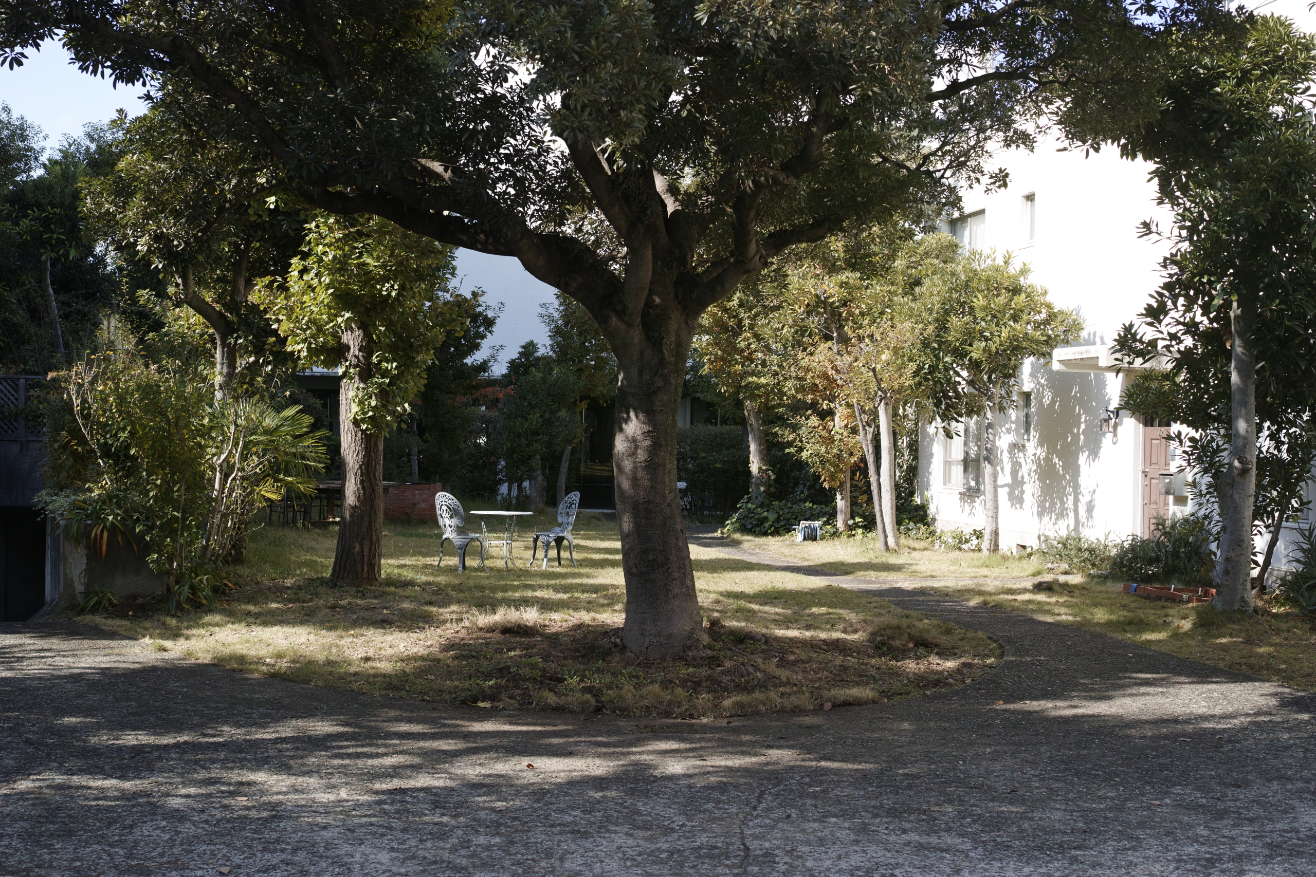 Gakugei-Daigaku, Sangenjaya, Yoyogi_Img