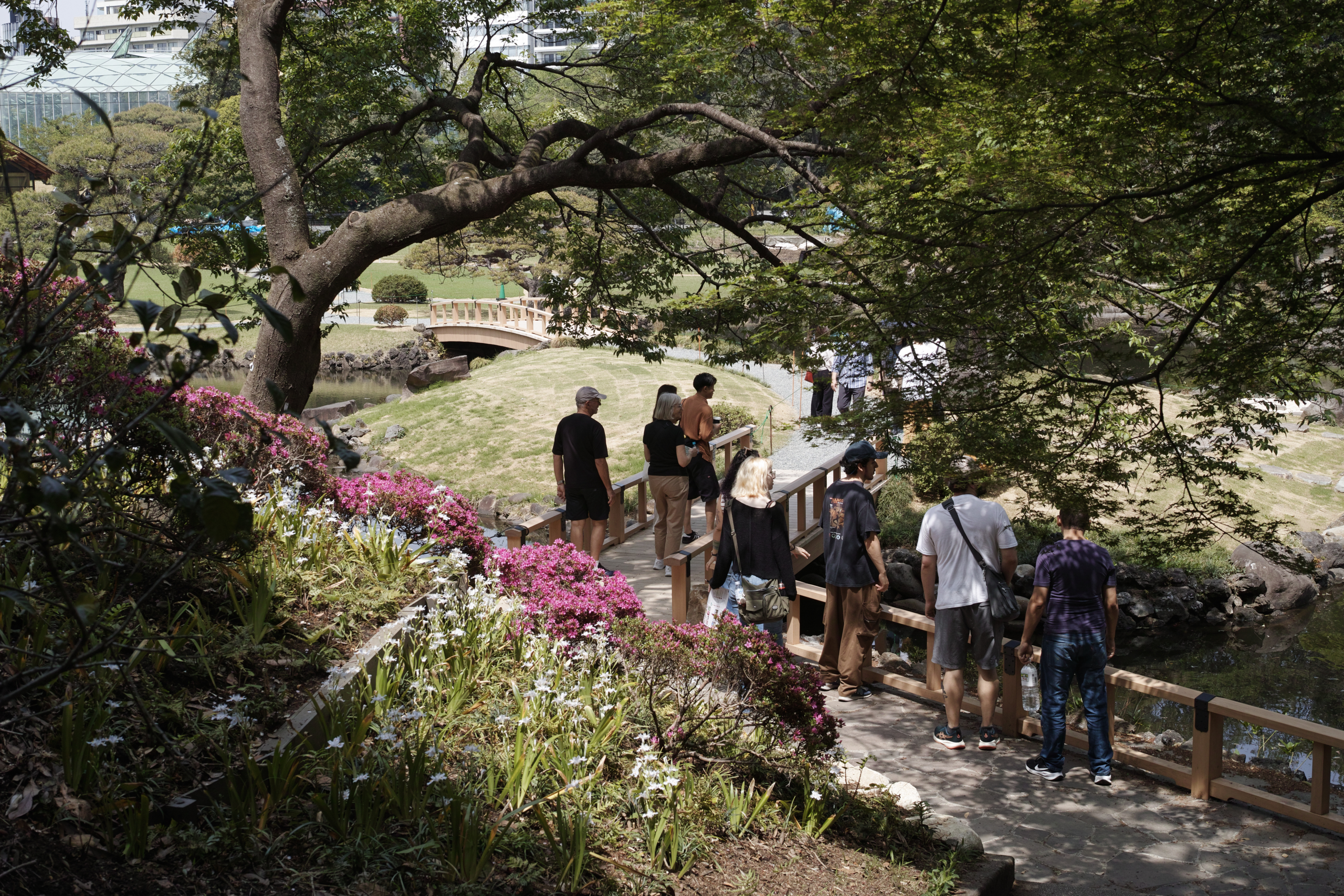 Shinjuku, Ogikubo, Kichijoji_Img