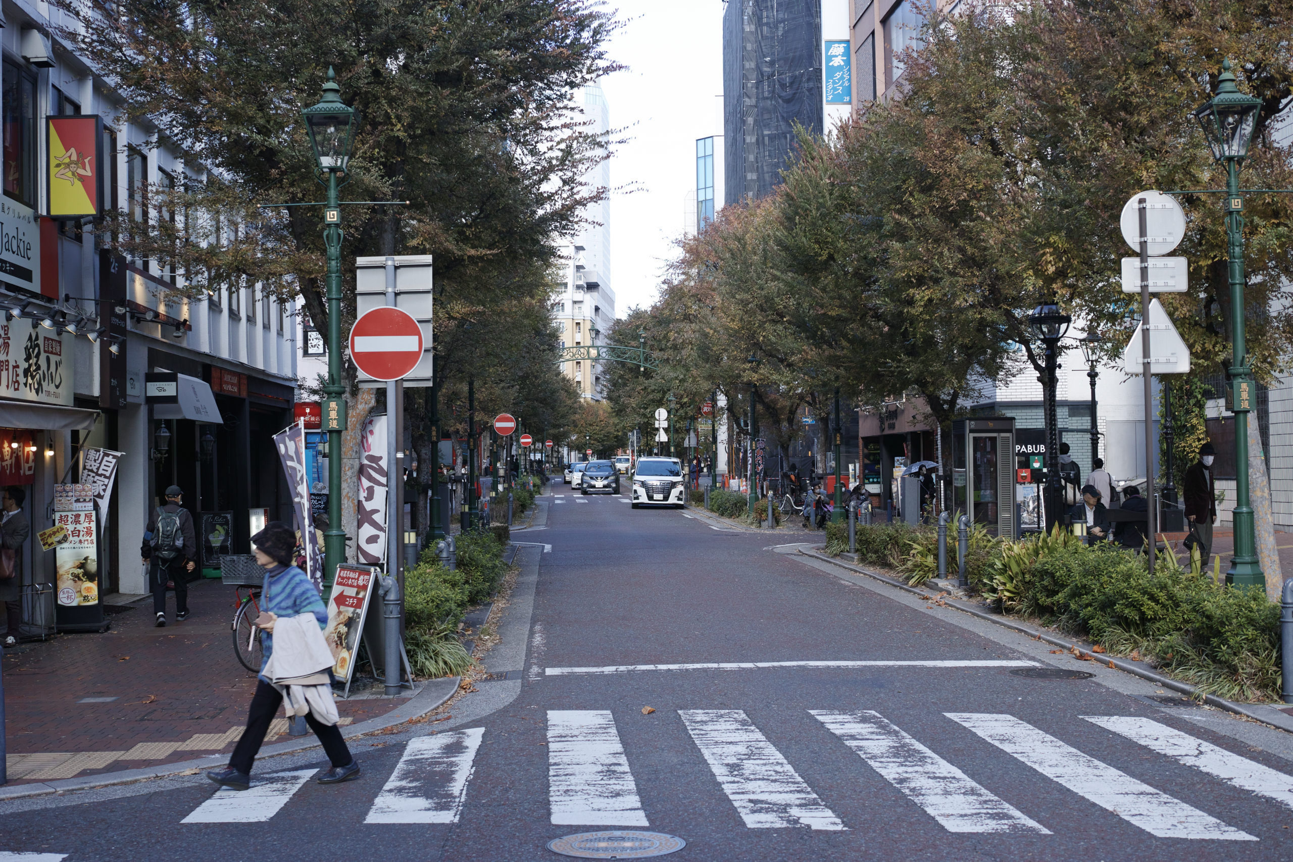 Motomachi-Chukagai, Noge,  Minatomirai_Img