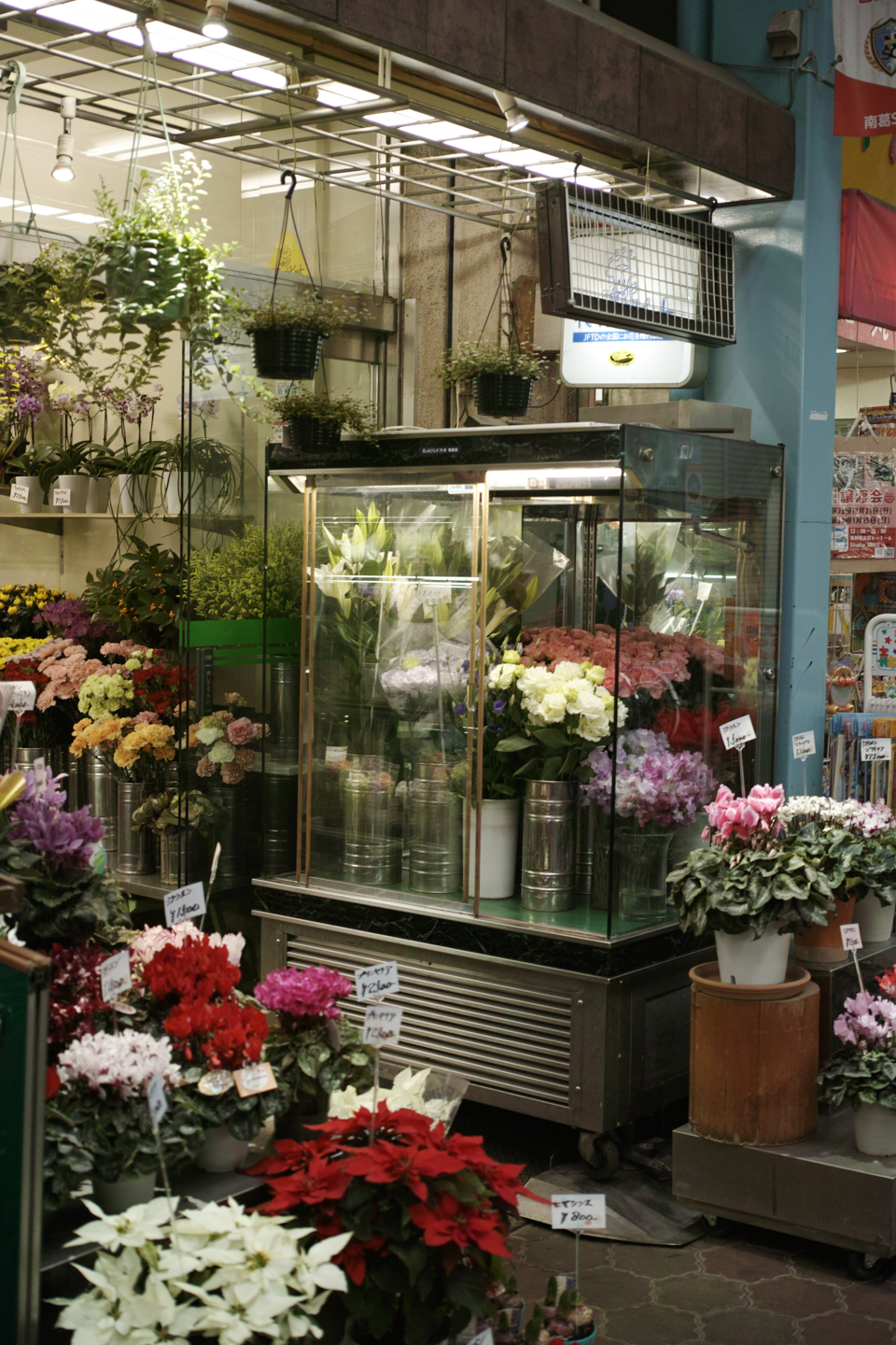 Mukojima, Hikifune, Tateishi, Shibuya_Img