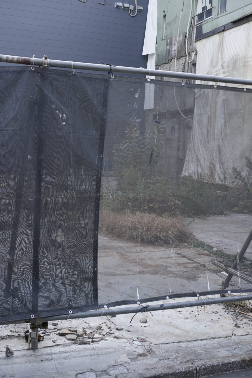 Kachidoki, Roppongi, Shinjuku_Img