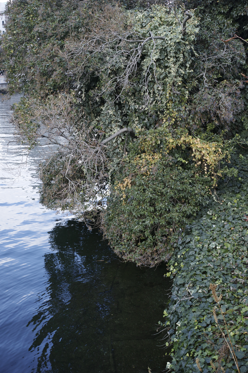 Kachidoki, Roppongi, Shinjuku_Img