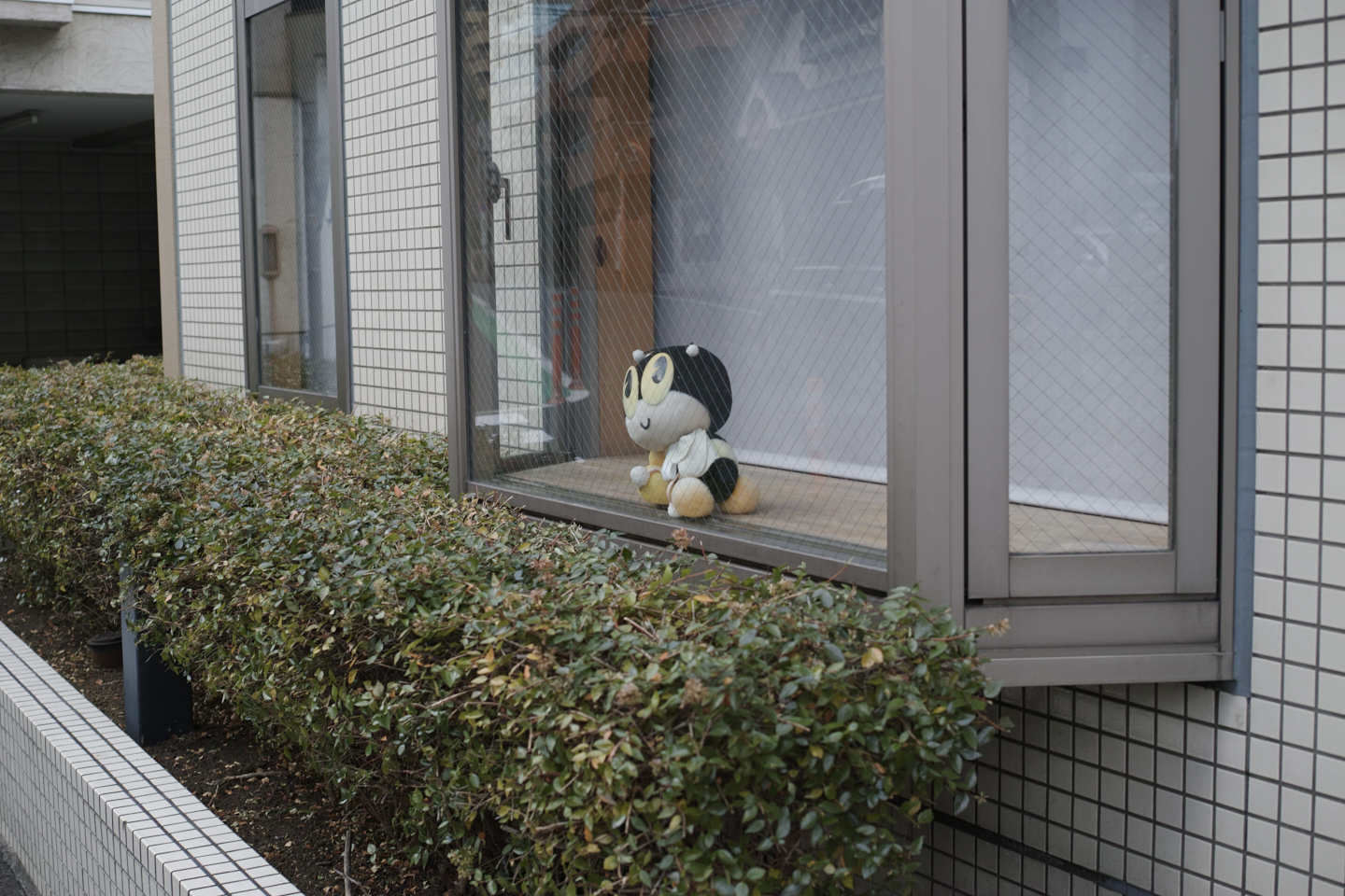 Kachidoki, Roppongi, Shinjuku_Img