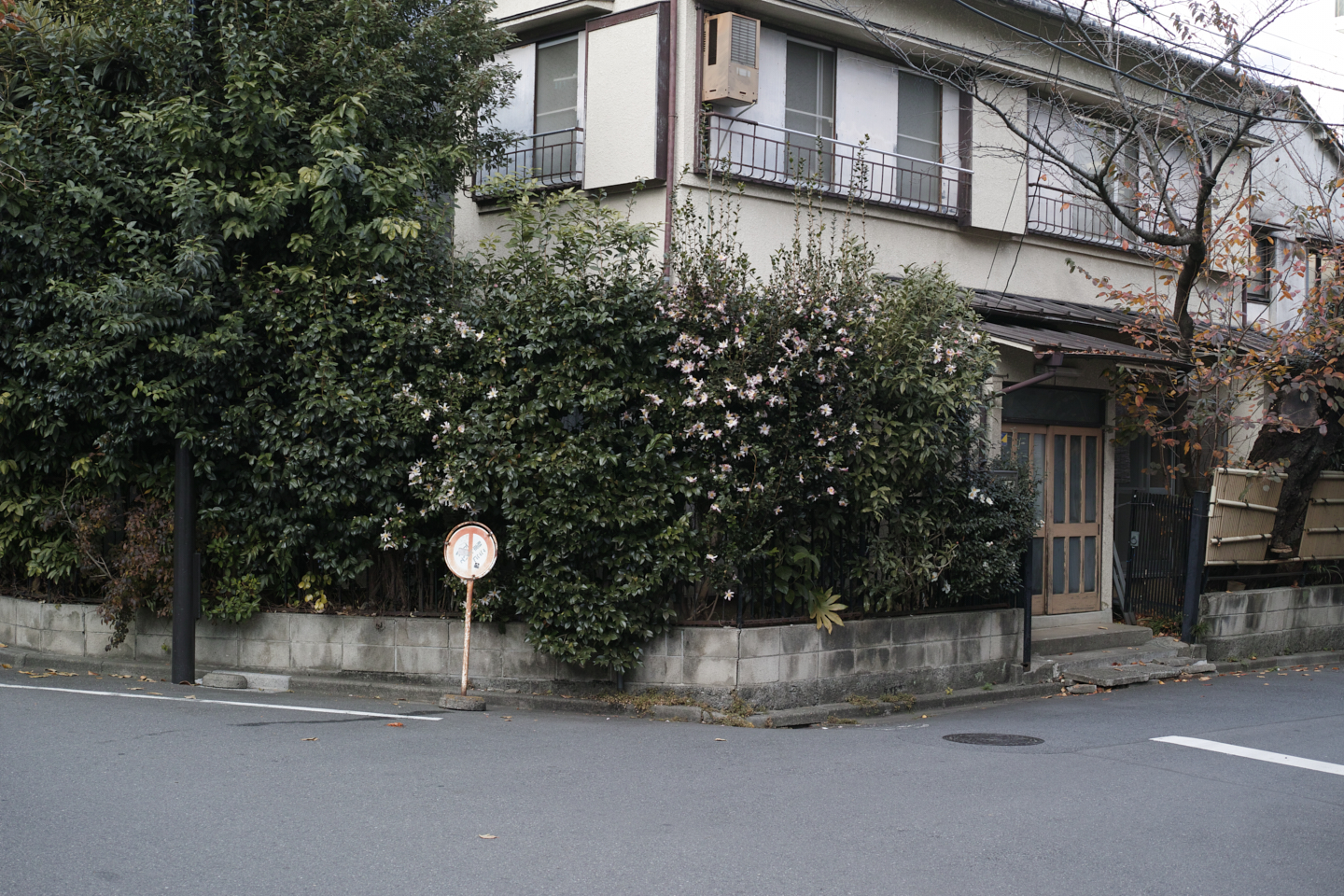 Kachidoki, Roppongi, Shinjuku_Img