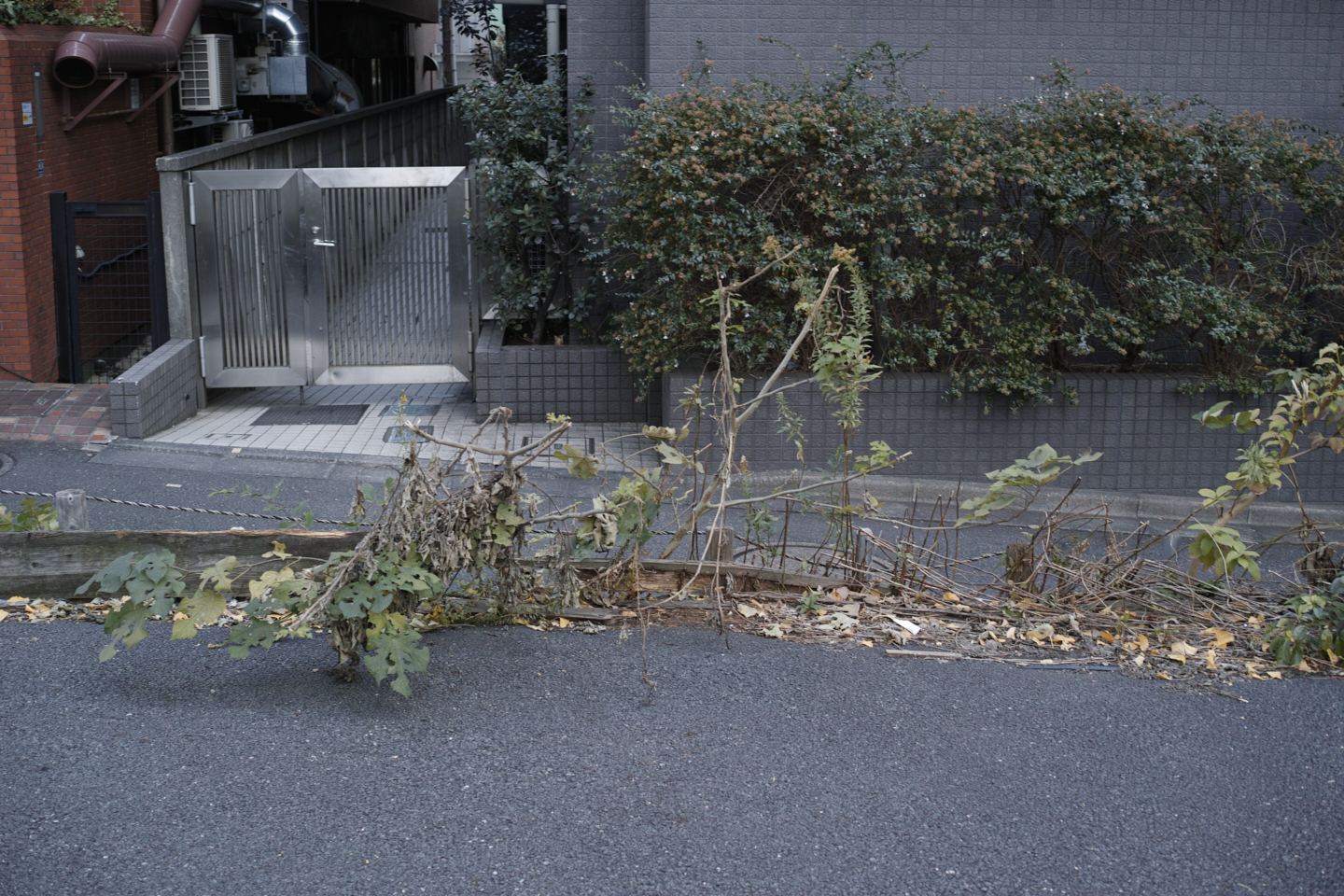 Kachidoki, Roppongi, Shinjuku_Img