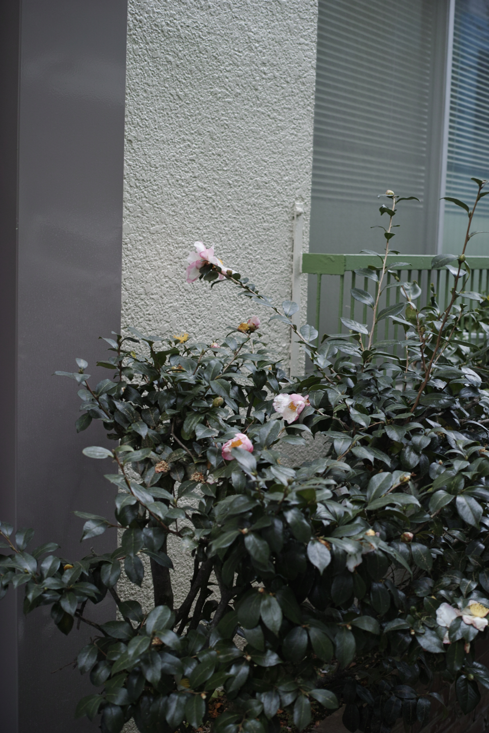 Nihonbashi, Kayabacho_Img